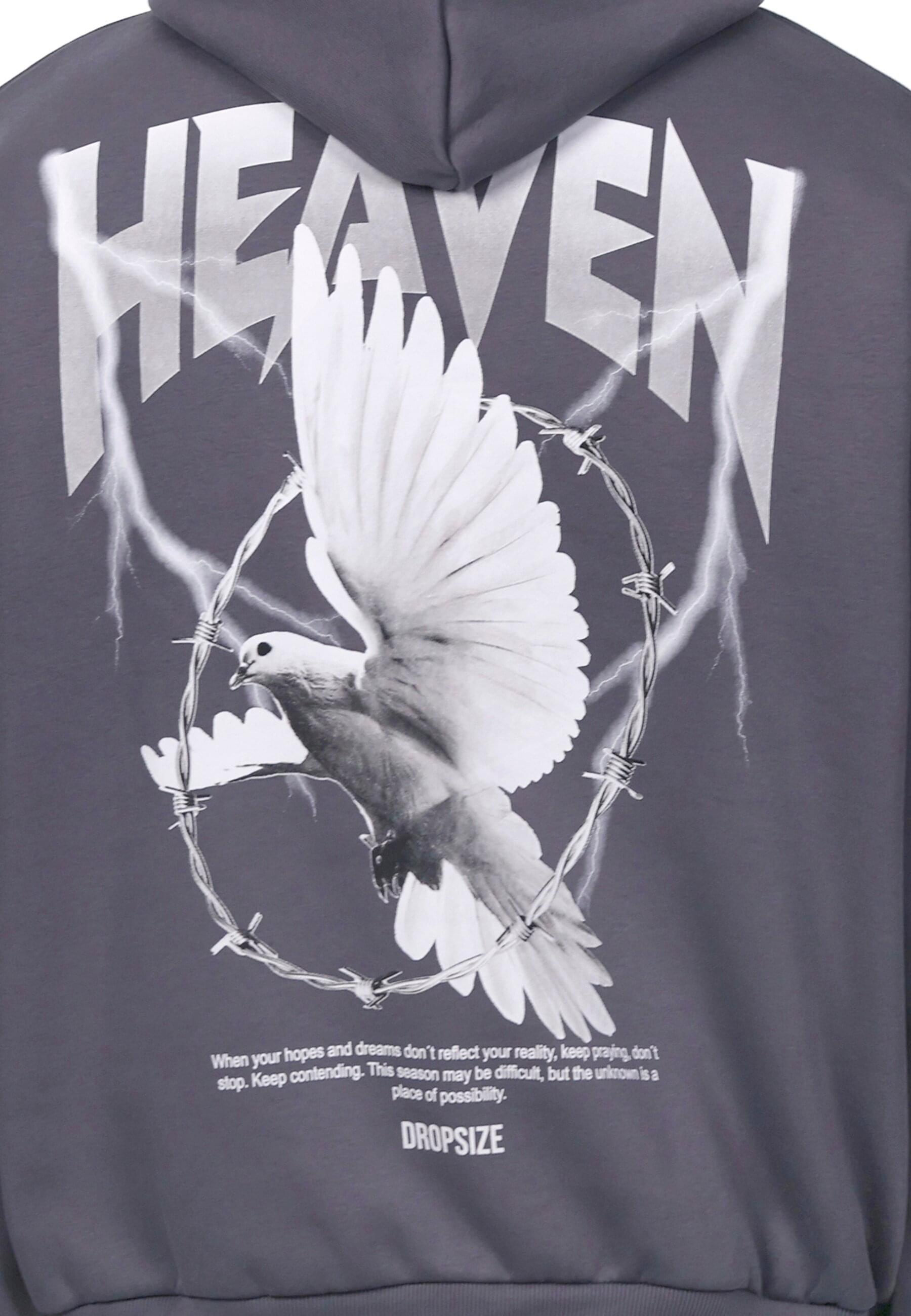 Thumbnail - Dropsize Kapuzensweatshirt "Dropsize HEAVY OVERSIZE WIRE DOVE HOODIE", 1 Stk.