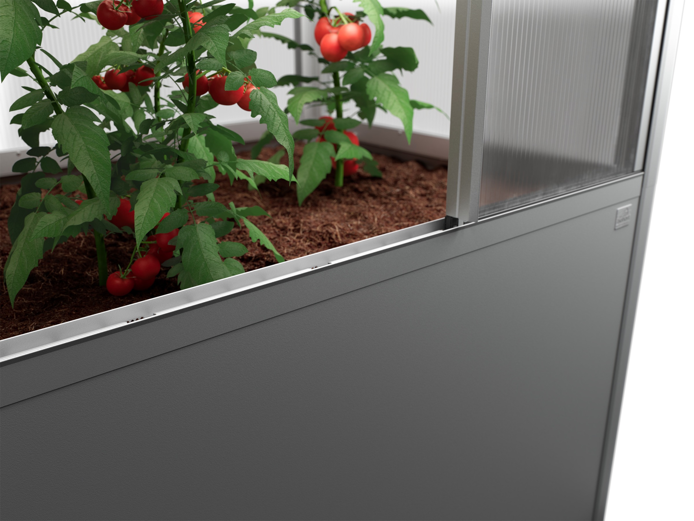 Biohort Gewächshaus »Florentina Gr. 2x0,5 MAXI, verschiedene Farben« Kompaktes Gewächshaus für hochwachsende Pflanzen