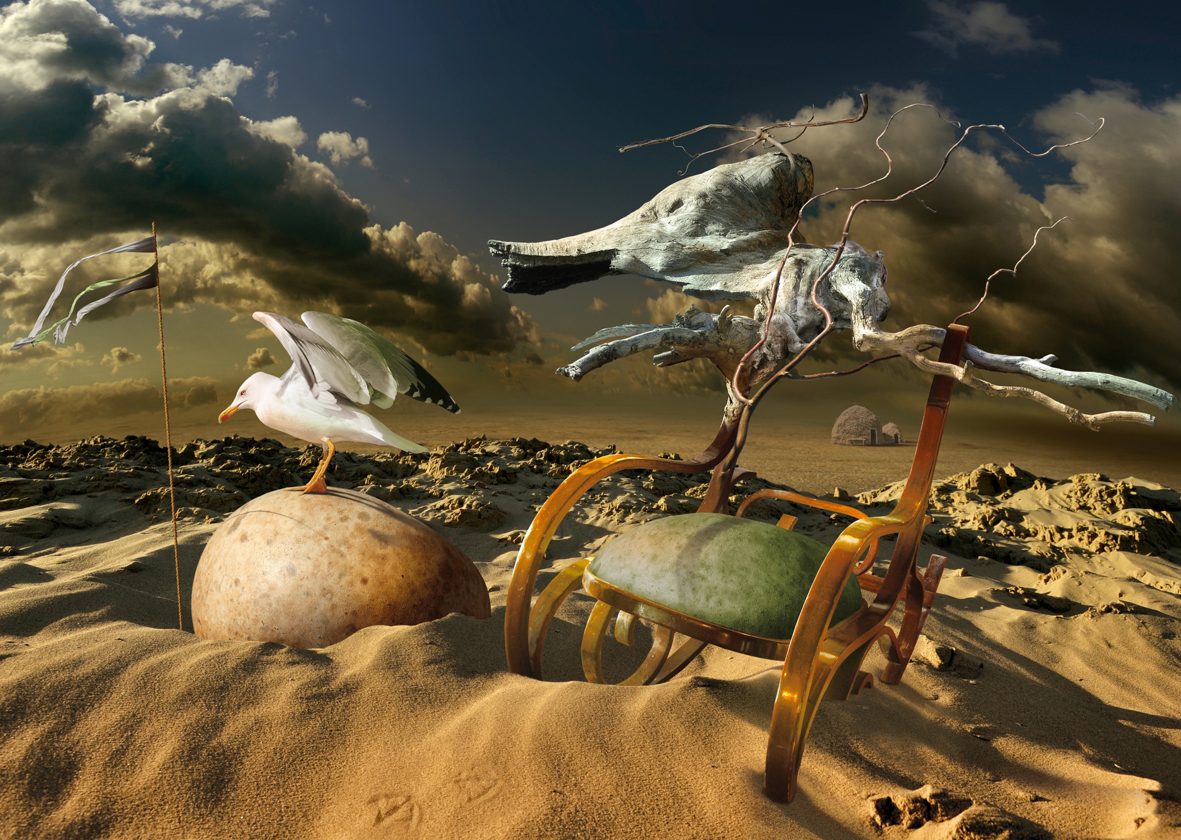 Papermoon Fototapete "Photo-Art RADOSLAV PENCHEV, MÖVE IN DER WÜSTE"