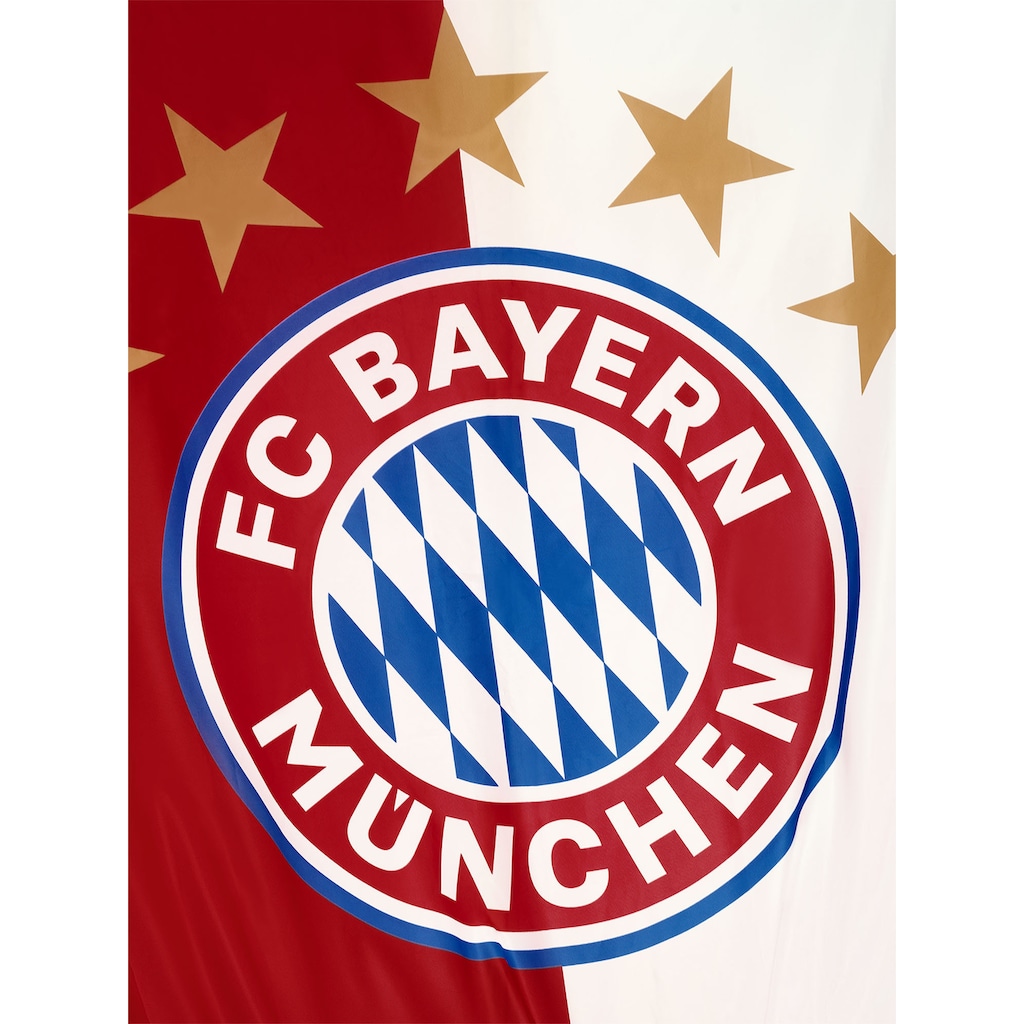 FC Bayern Fahne »FC Bayern München Hissfahne Hochformat 5 Sterne Logo 150x400 cm«