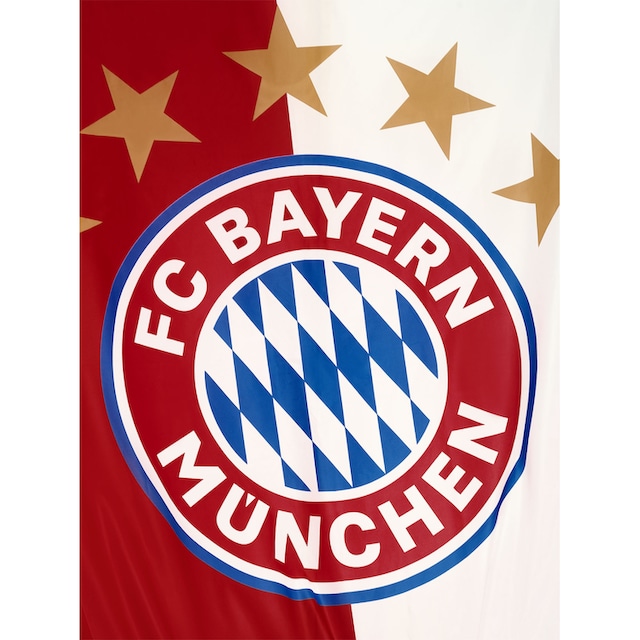 FC Bayern Fahne »FC Bayern München Hissfahne Hochformat 5 Sterne Logo  150x400 cm«, Aus recyceltem Polyester | BAUR
