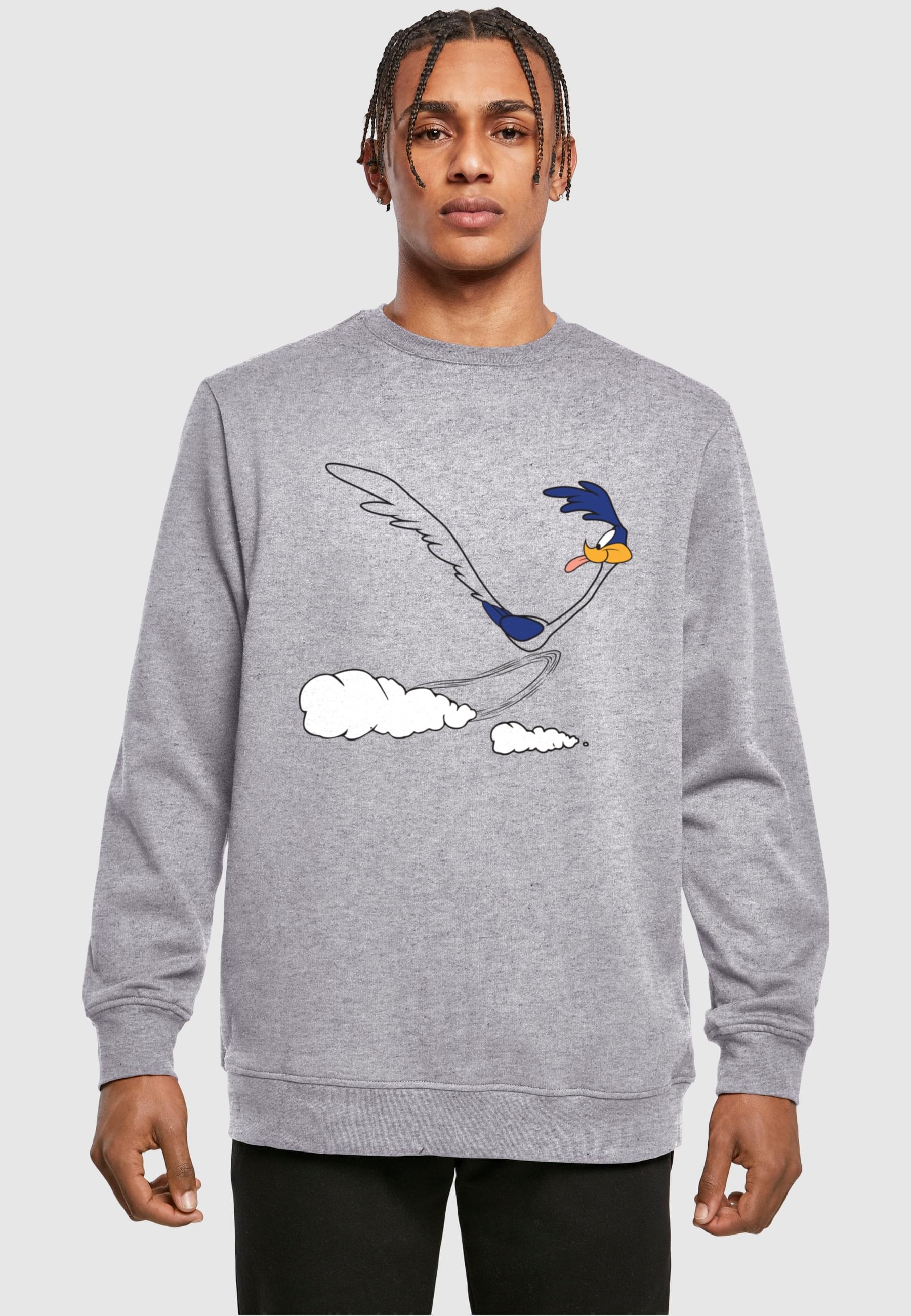 ABSOLUTE CULT Rundhalspullover »ABSOLUTE CULT Herren Looney Tunes - Road Runner Running Crewneck«, (1 tlg.)
