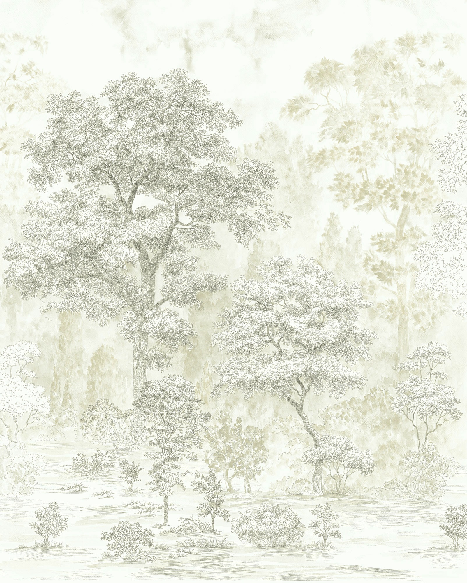 Komar Vliestapete "Noble Trees", 200x250 cm (Breite x Höhe)