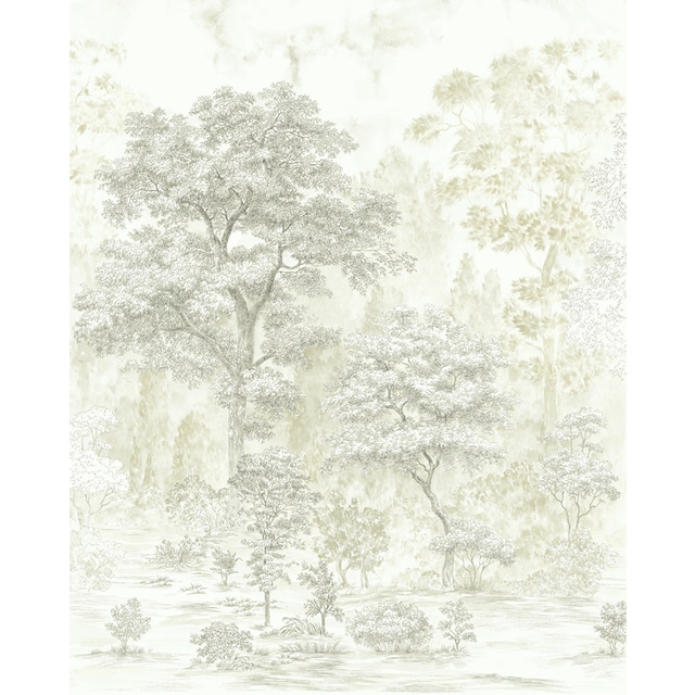 Komar Vliestapete »Noble Trees«, 200x250 cm (Breite x Höhe) online kaufen |  BAUR