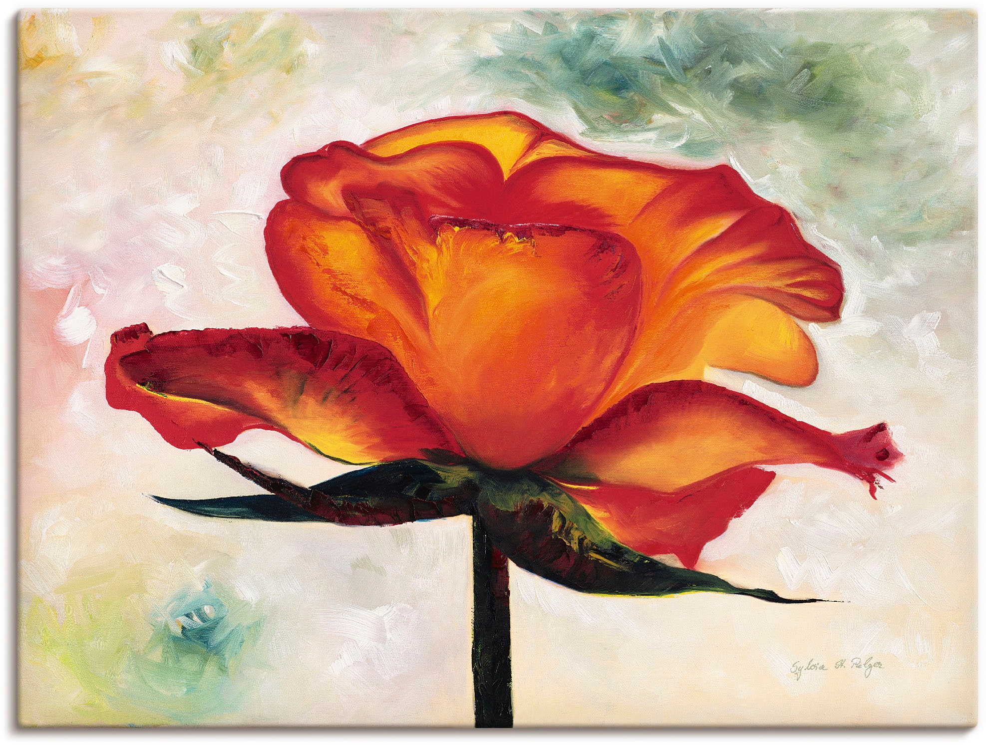 Artland Wandbild »Brillant«, Blumen, (1 St.), als Alubild, Leinwandbild,  Wandaufkleber oder Poster in versch. Größen bestellen | BAUR