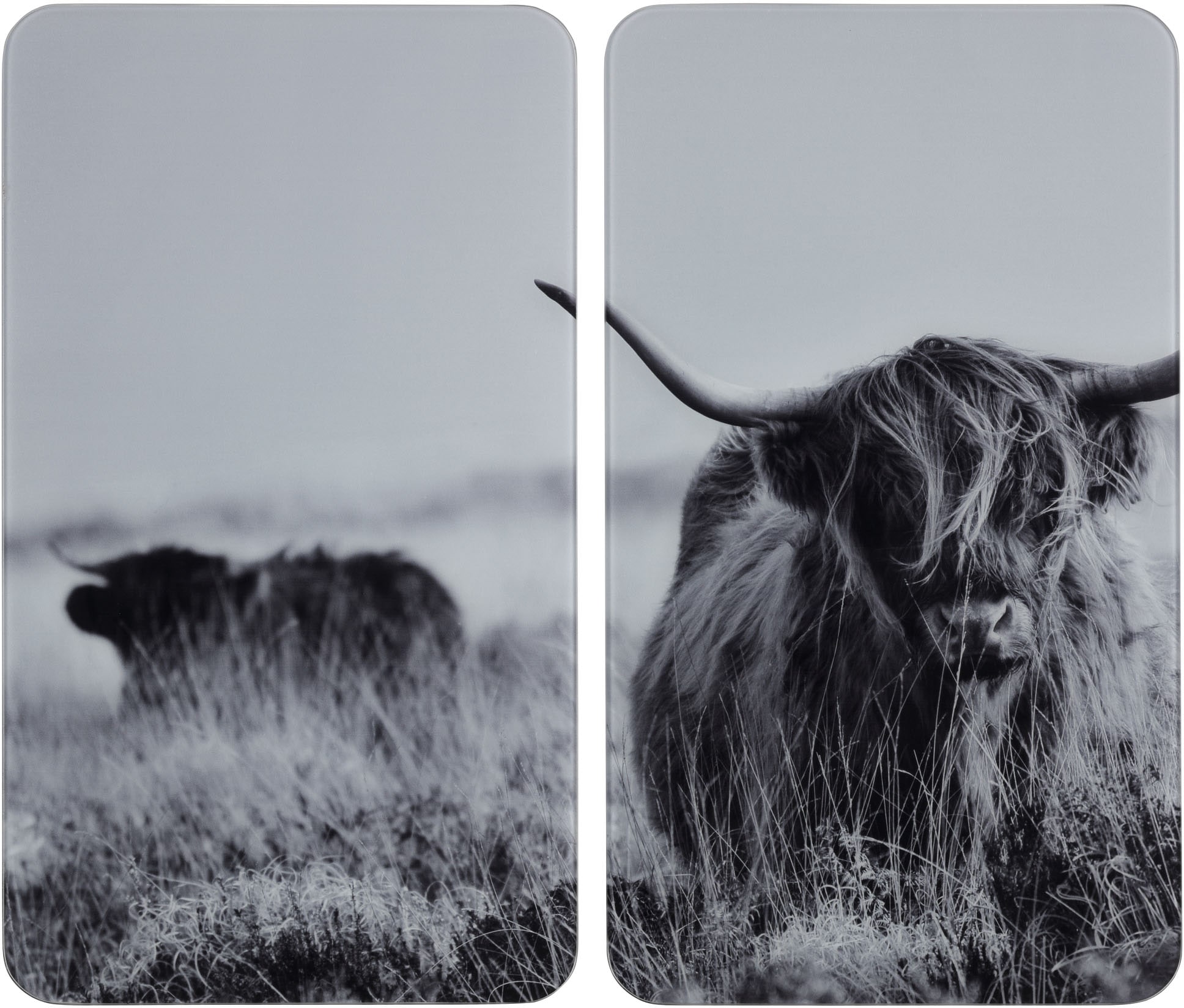 Herd-Abdeckplatte »Highland Cattle«, (Set, 2 tlg.), für alle Herdarten