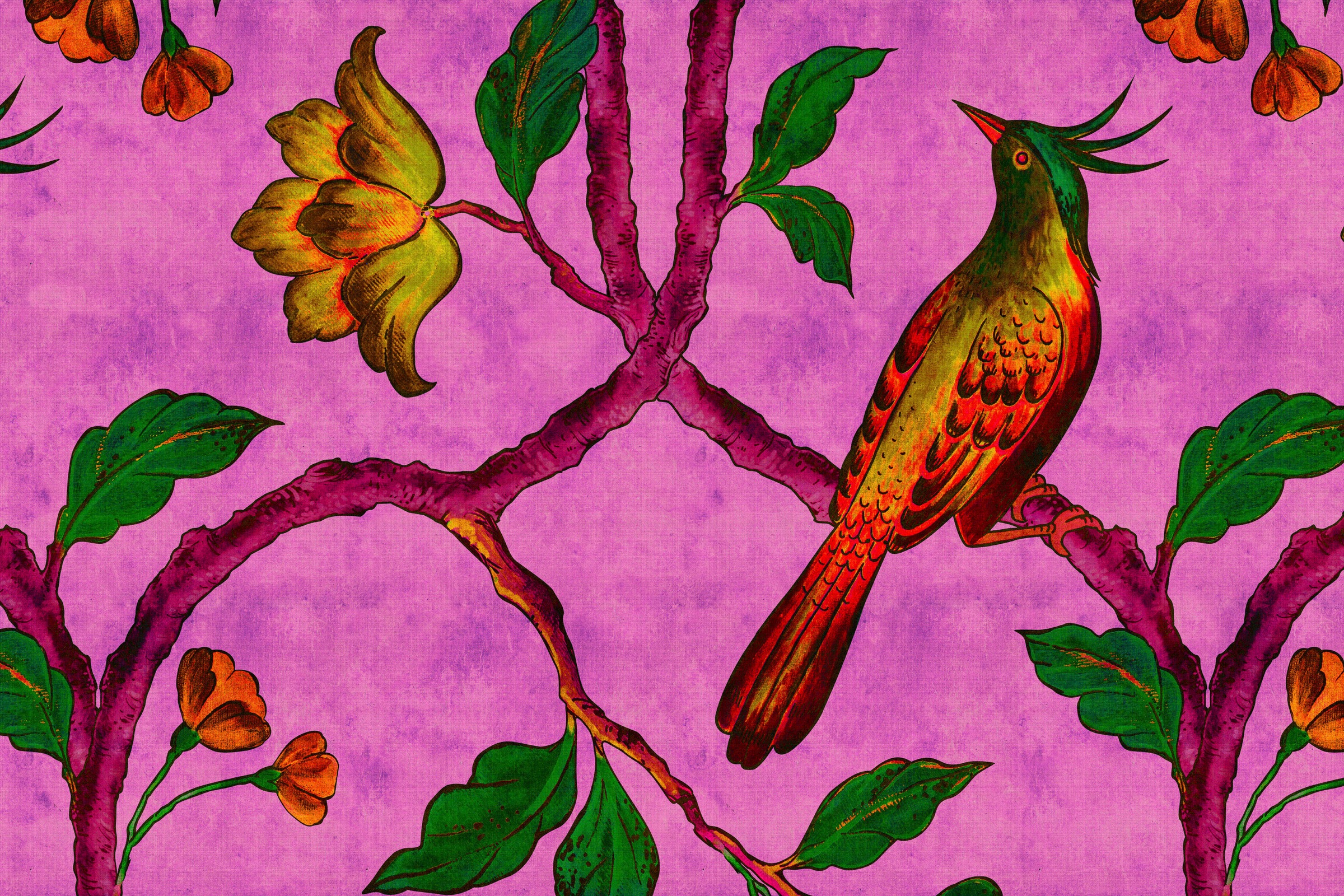 A.S. Création Leinwandbild »bird of paradise«, Kunst-Vögel-Kinder, (1 St.), Keilrahmen Bild Vogel Bunt Leinwand-Bild Wohnzimmer modern Wandbild