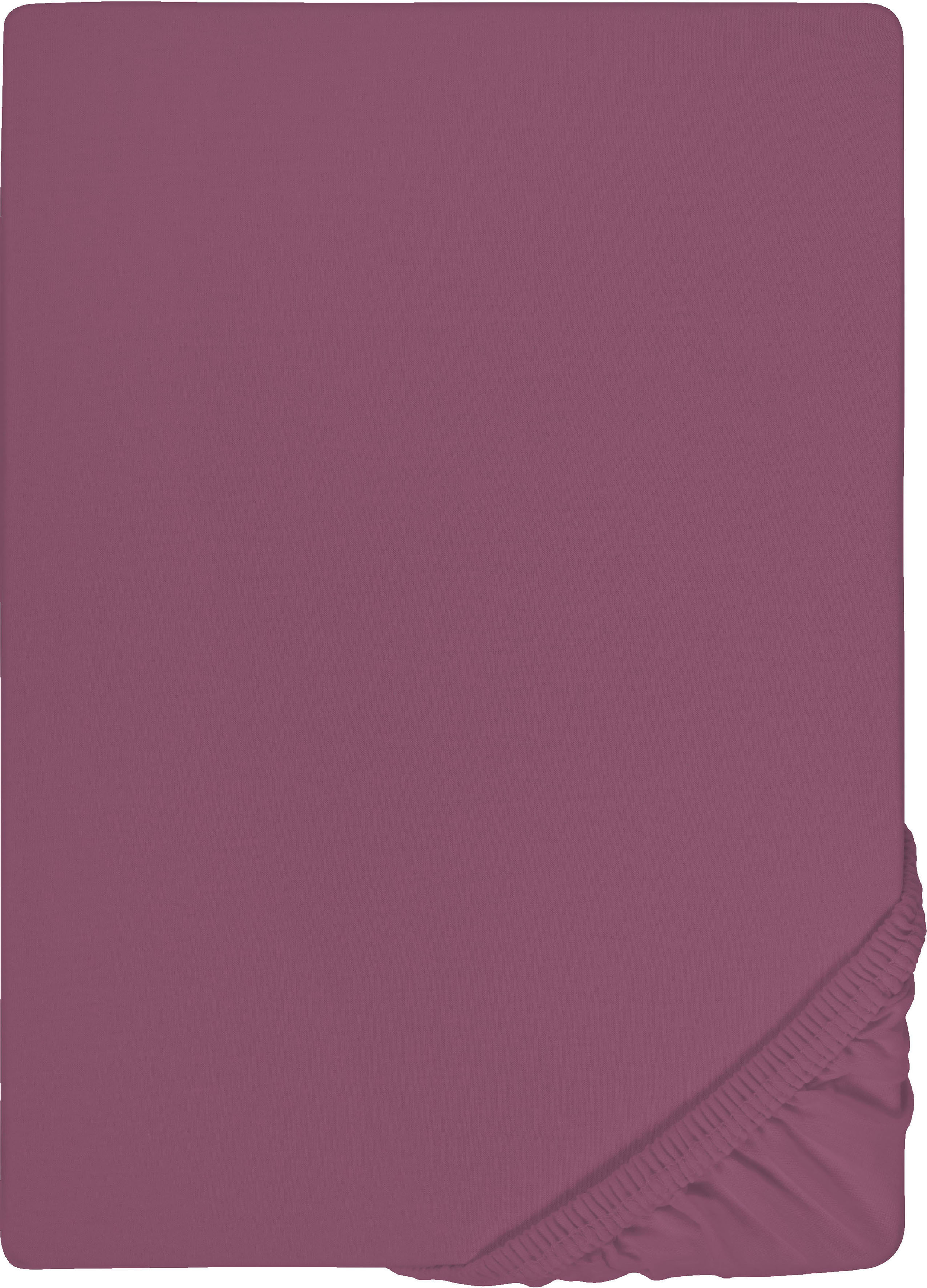 Castell - Markenbettwäsche Spannbettlaken "Jersey in Gr. 90x200, 140x200 oder 180x200 cm" aus Baumwolle, für Matratzen bis 22 cm Höhe, Bettlaken, Spannbetttuch