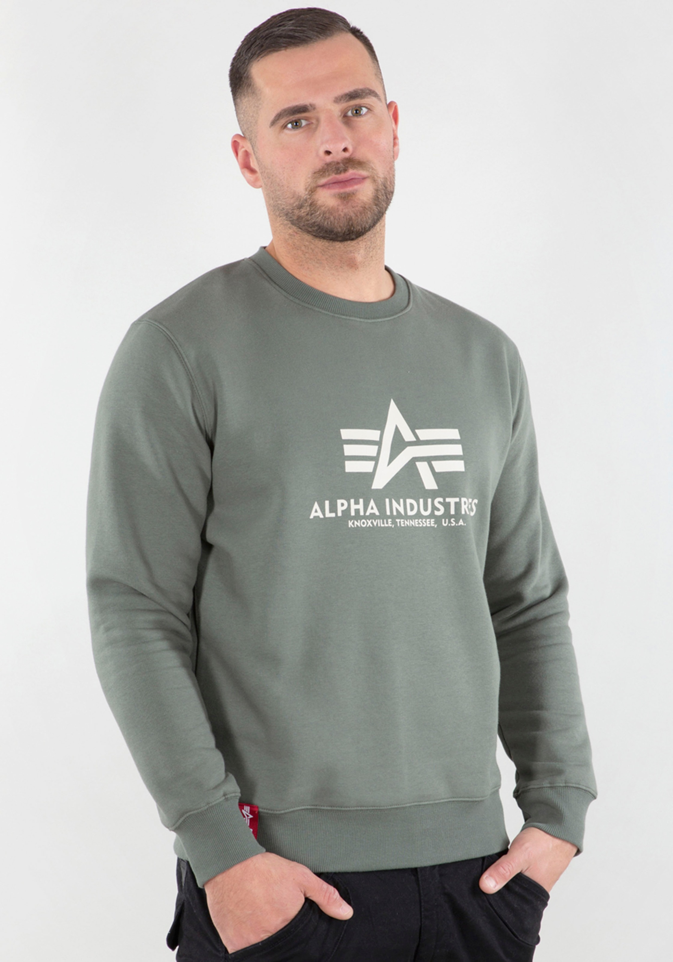 Alpha Industries Sweatshirt "Basic Sweater", Baumwollmischung, regular fit günstig online kaufen