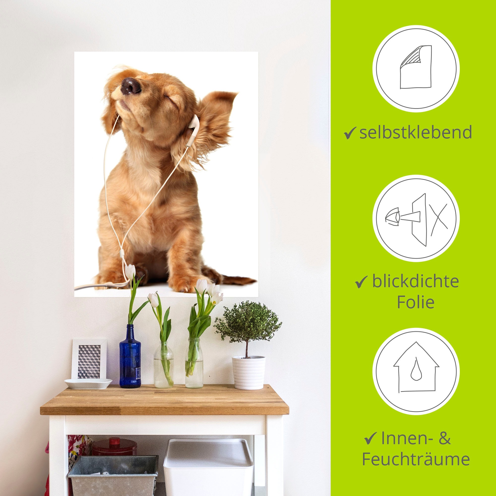 Artland Wandbild »Junger Hund hört Musik über Kopfhörer«, Haustiere, (1 St.), als Leinwandbild, Poster, Wandaufkleber in verschied. Größen