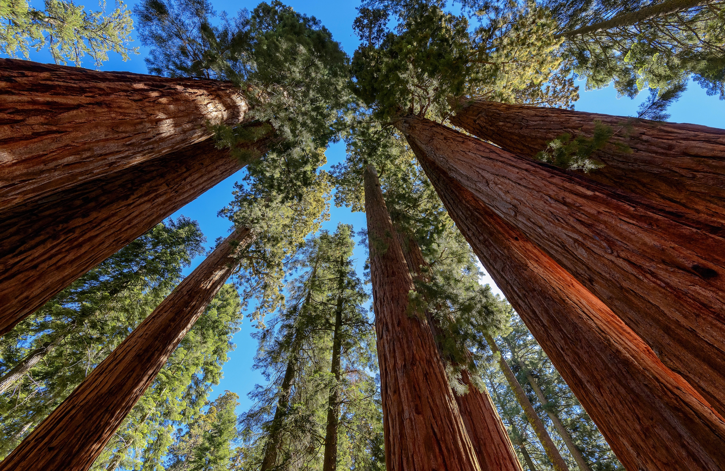 Papermoon Fototapete »BÄUME-NATUR LANDSCHAFT HERBST WALD BERGE GEBIRGE HIMMEL«