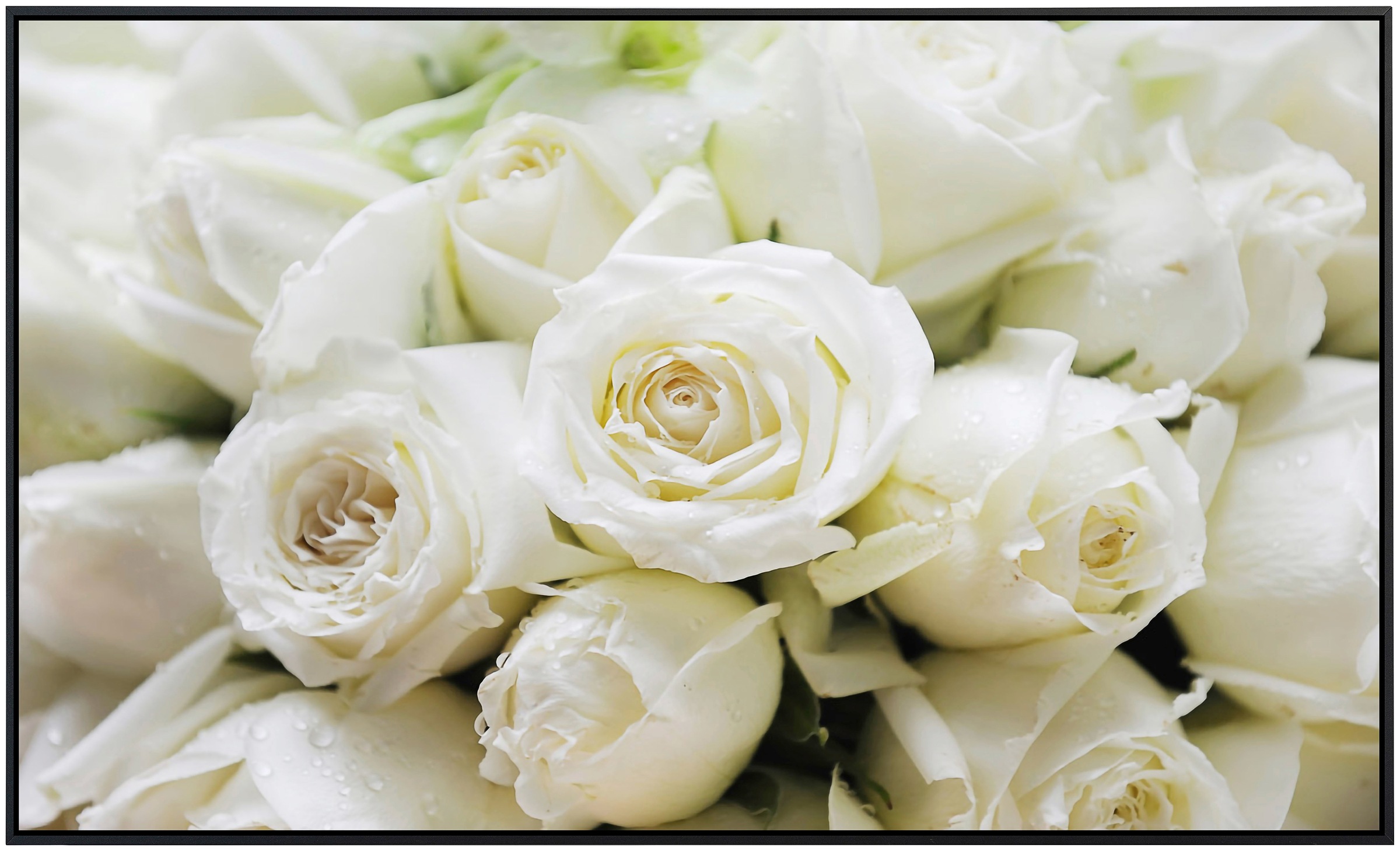 Papermoon Infrarotheizung »Weiße Rosen«, sehr angenehme Strahlungswärme