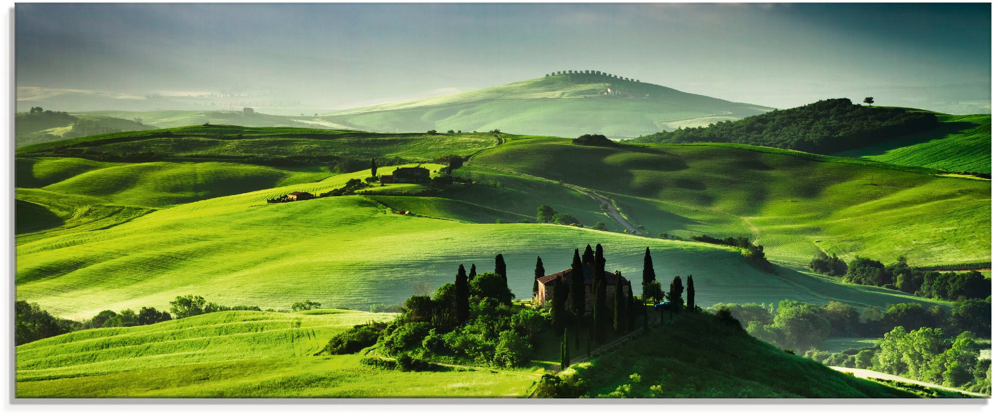 Artland "Sonnenaufgang über einer Olivenfarm" Felder 1 Stk. tlg. in verschi günstig online kaufen