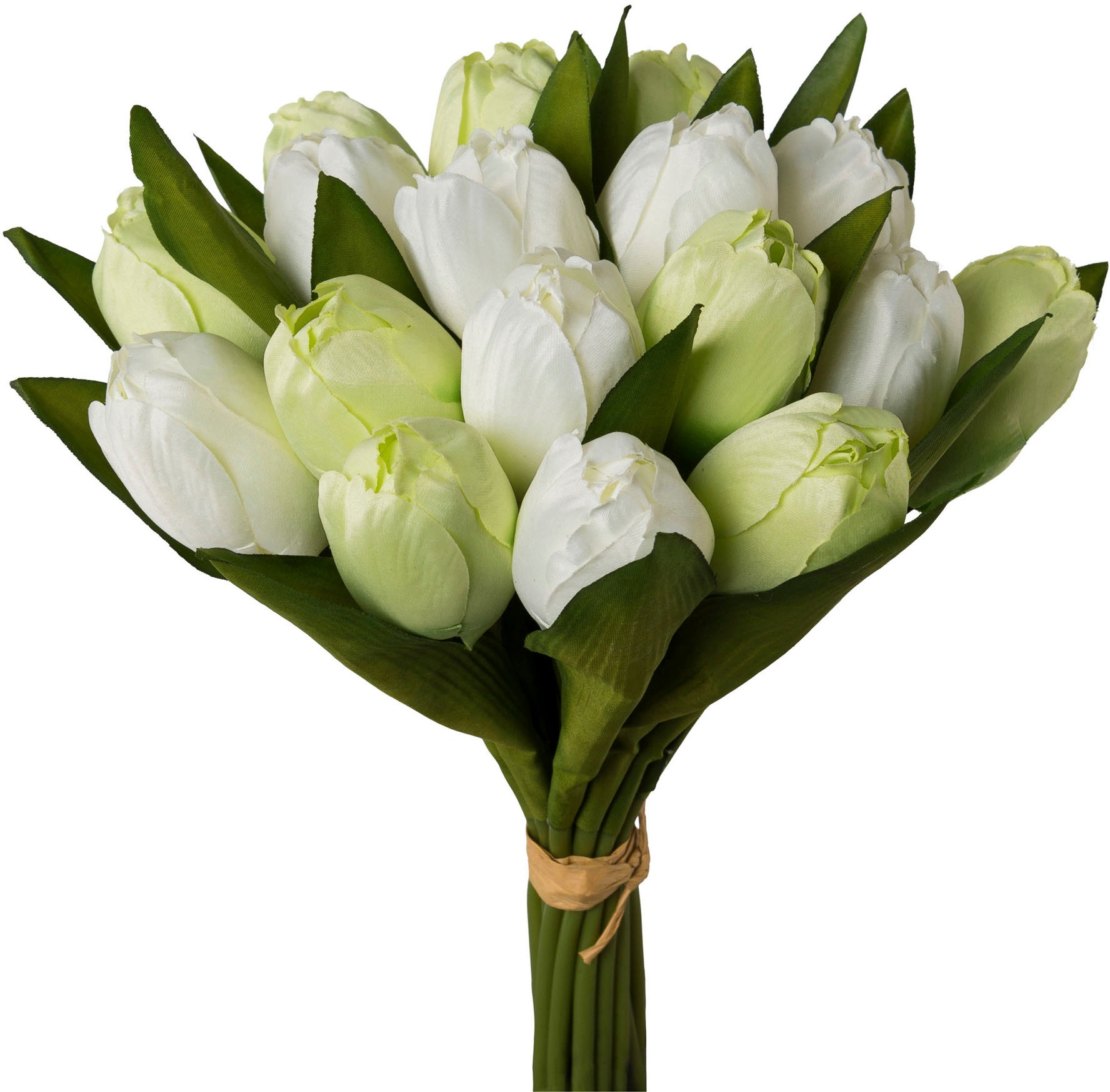 my home Kunsttulpe »Tulpenbund«