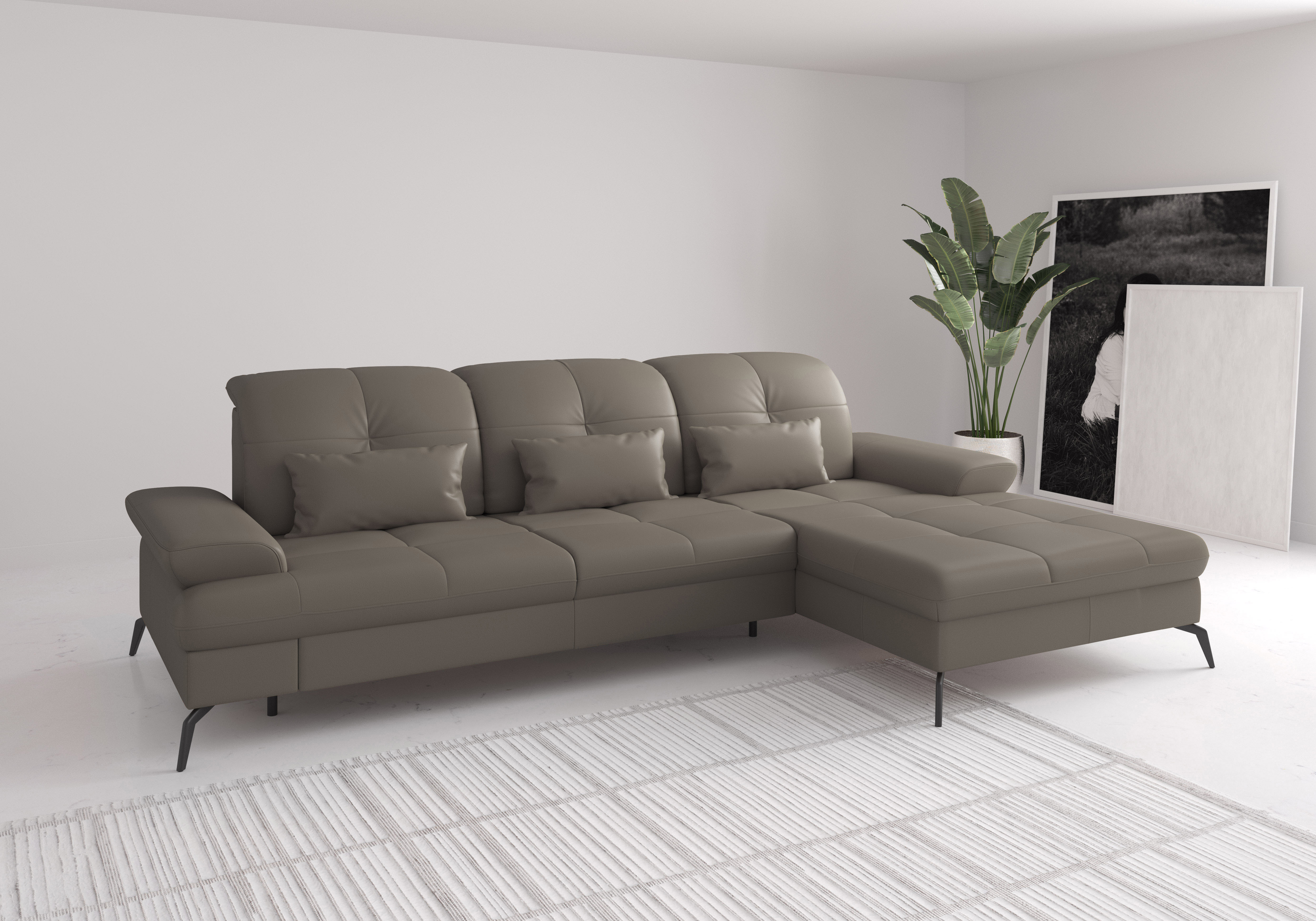sit&more Ecksofa "Amica, L-Form, inkl. Sitztiefenverstellung & Armteilverstellung" wahlweise mit Schlaffunktion, Bettkasten und Kopfteilverstellung
