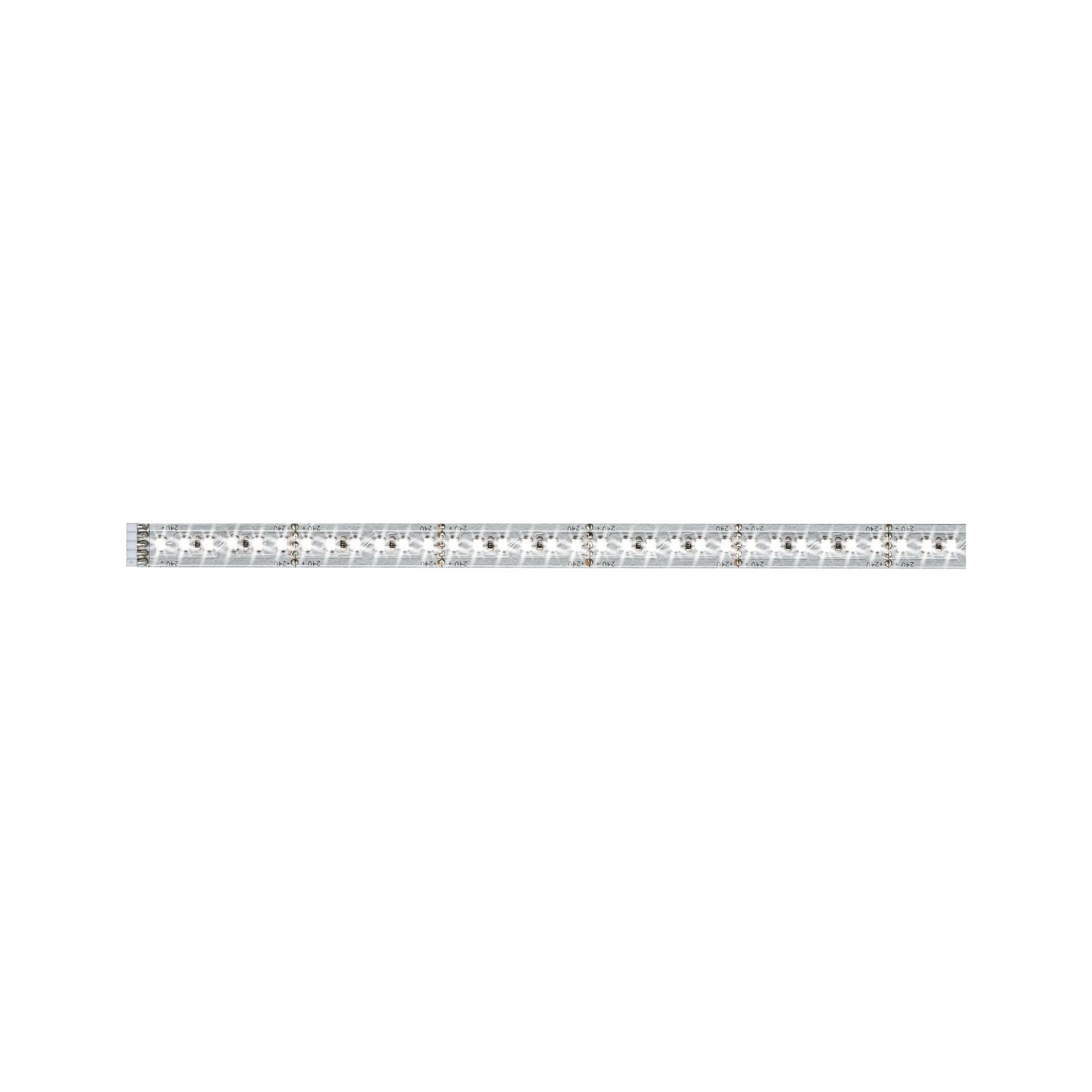 LED-Streifen »MaxLED 1000 Stripe 1m Daylight IP20 6500K 11,5W 24V Silber«, 1 St.-flammig