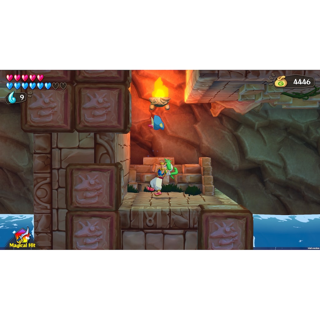 PlayStation 4 Spielesoftware »Wonder Boy: Asha in Monster World«, PlayStation 4