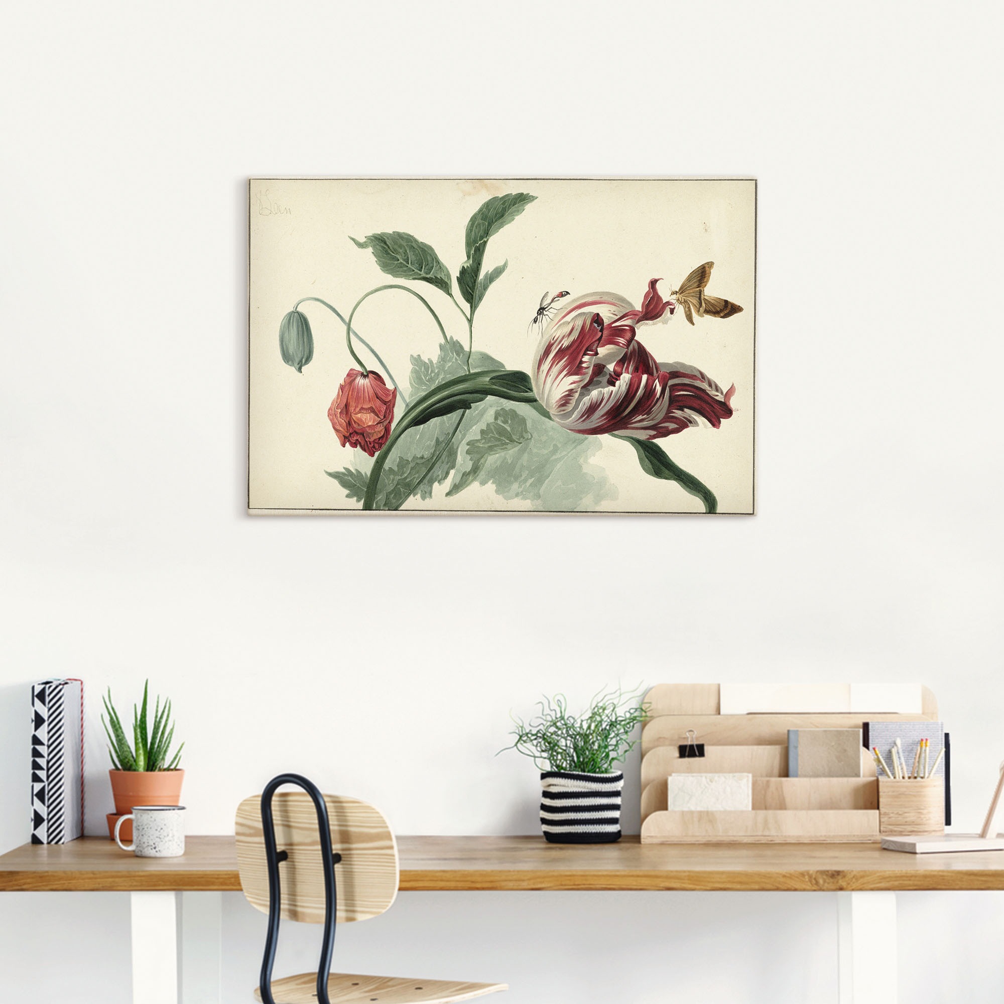 Artland Wandbild "Tulpe und Mohn.", Blumenbilder, (1 St.), als Alubild, Out günstig online kaufen