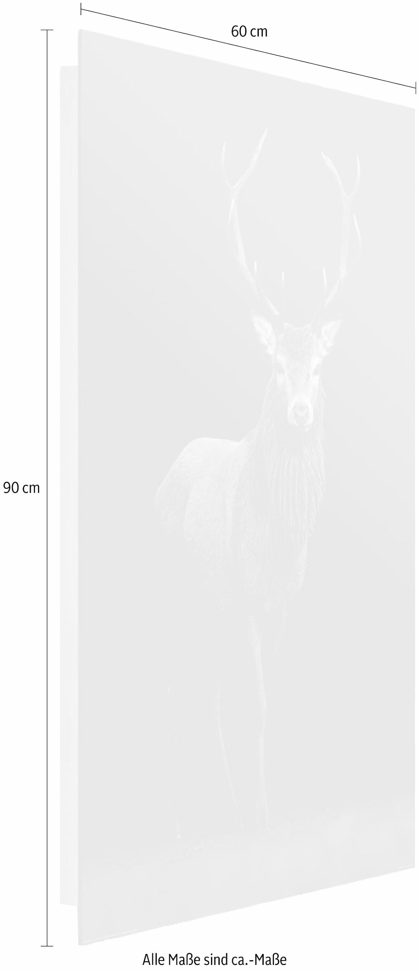 Home affaire Deco-Panel »Hirsch«, 60/90 cm