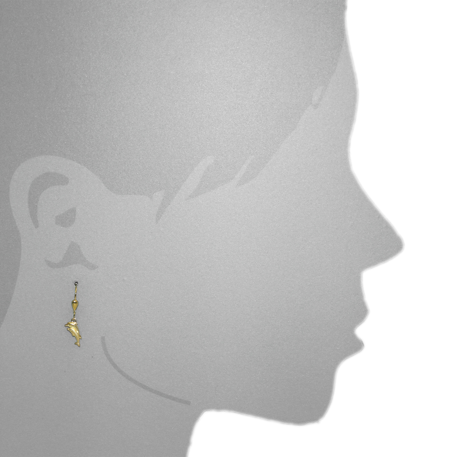 OSTSEE-SCHMUCK Paar Ohrhänger »- Delphinpaar - Gold 333/000 - Zirkonia«