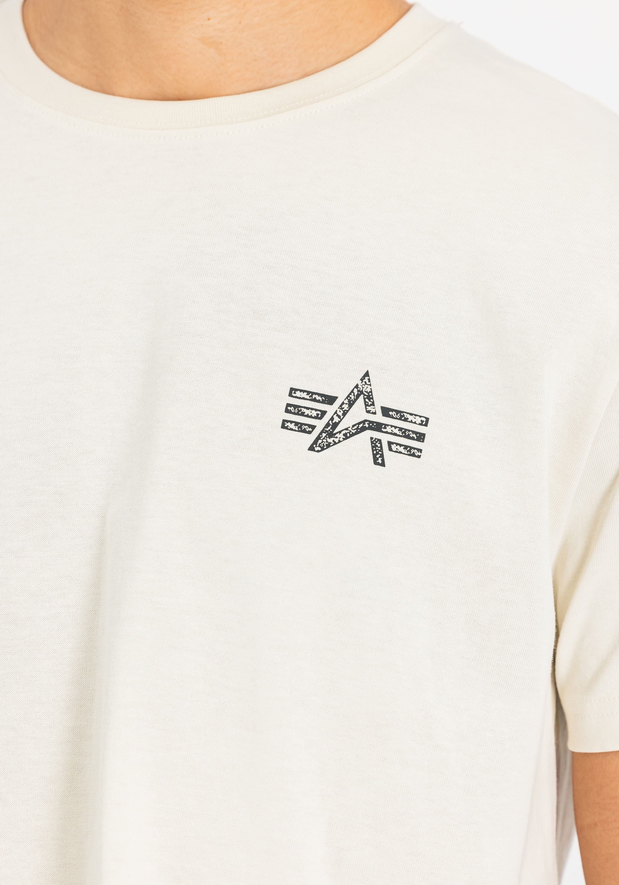 Alpha Industries T-Shirt »Signature Backprint T-Shirt T-Shirt«