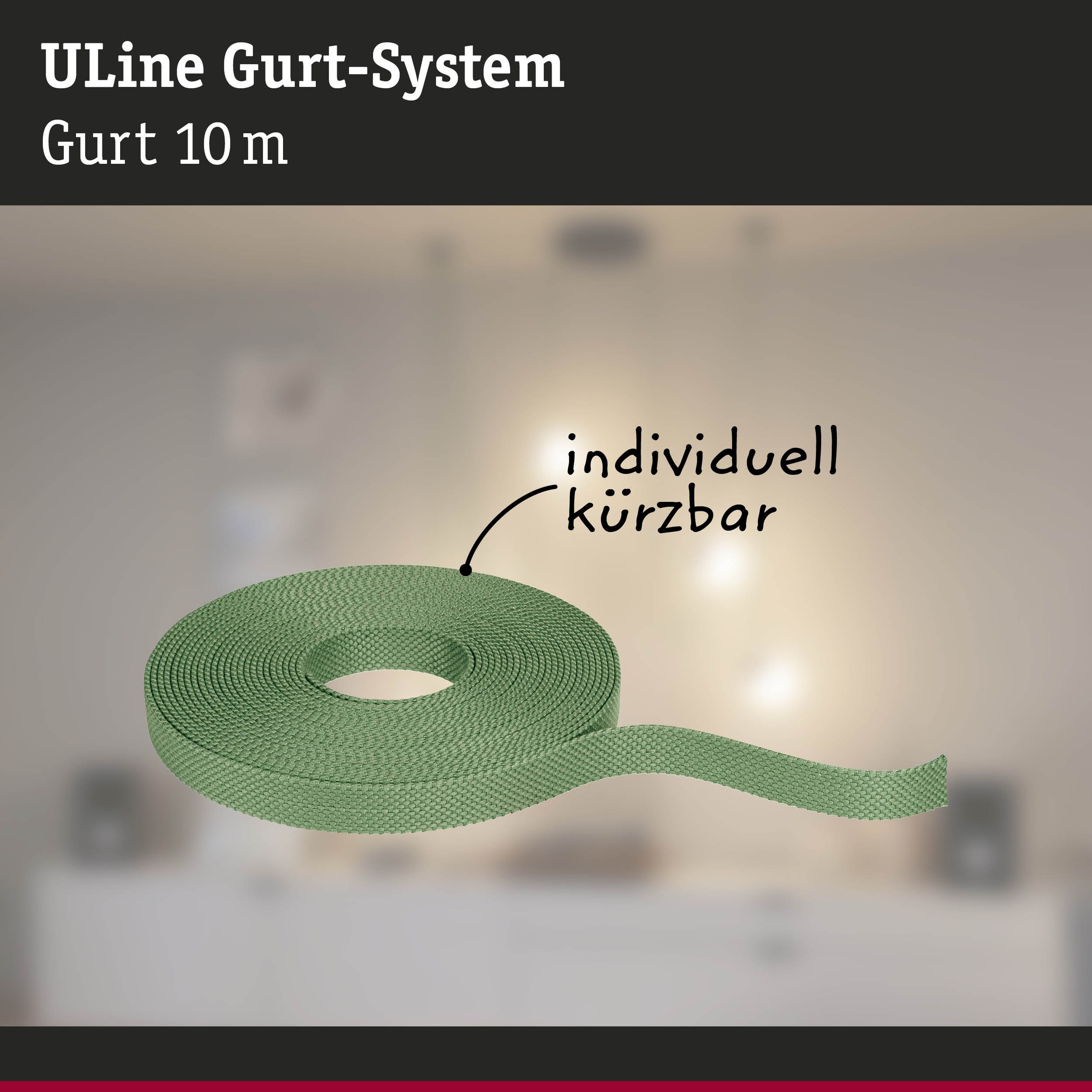 Paulmann Hängeleuchte »ULine Gurt Belt  10m« 1 Stk.