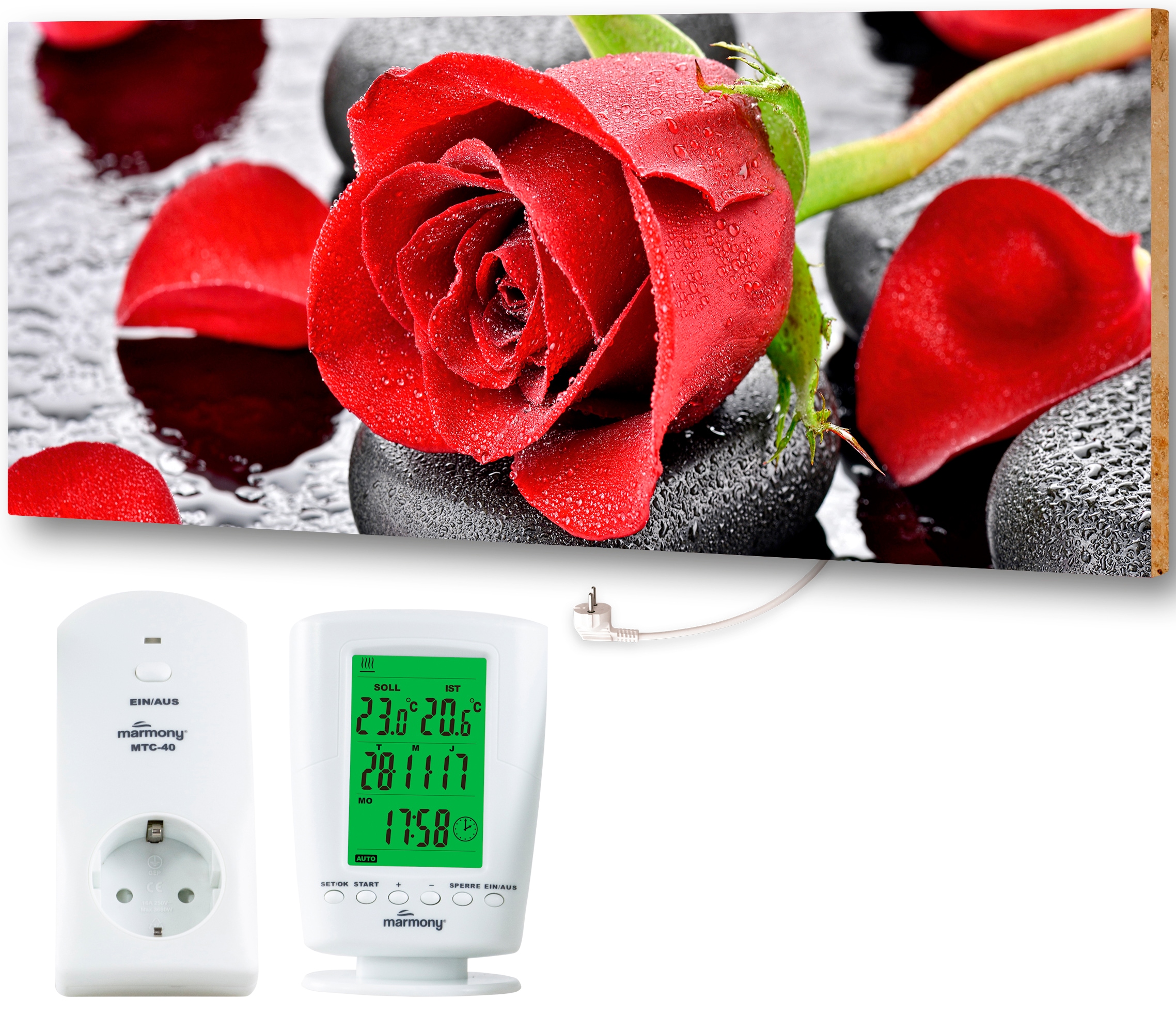 Infrarotheizung »MOTIV-Heizkörper "Red Roses" 830017, 800 Watt«, aus deutschem...