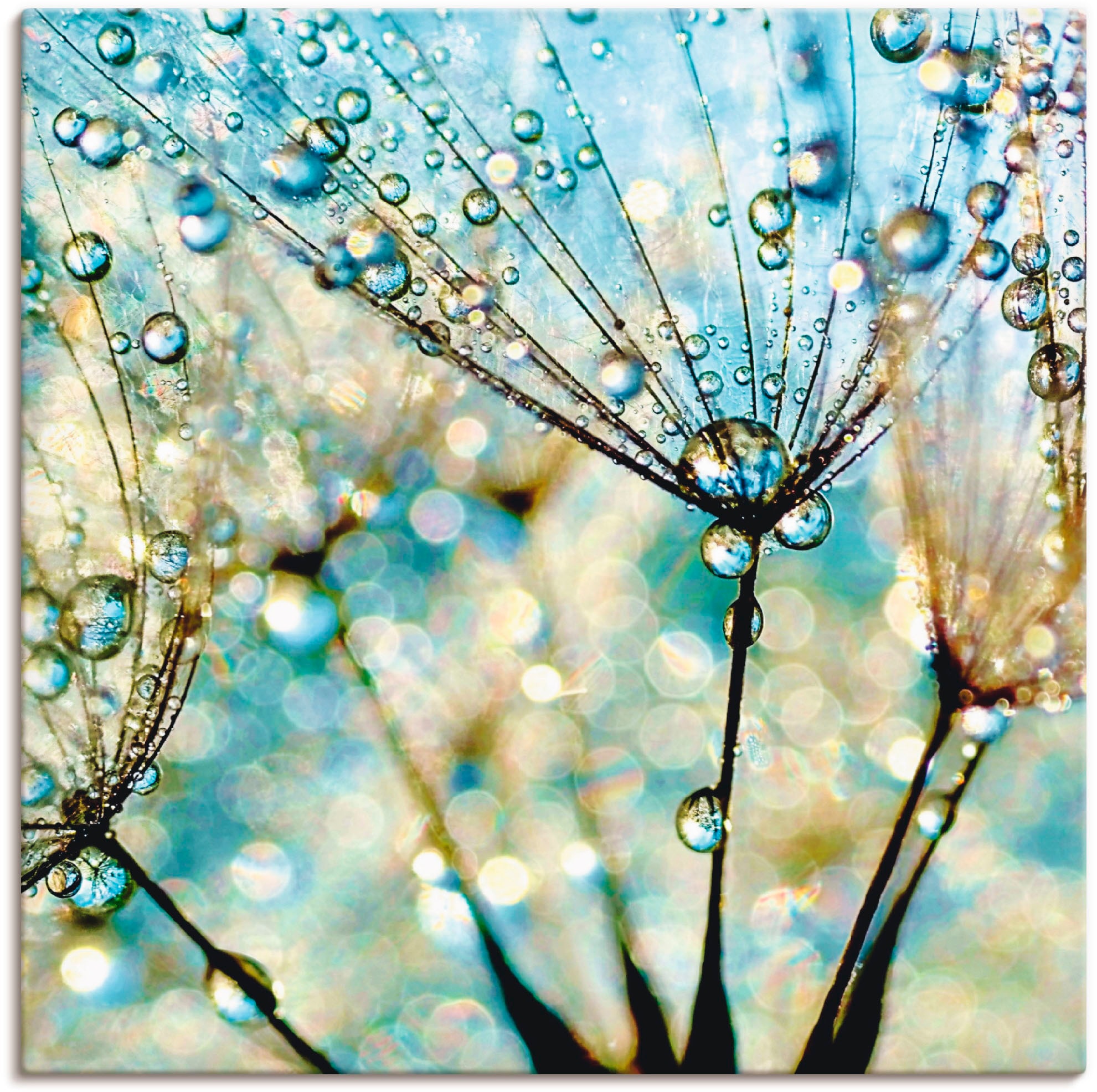 Artland "Pusteblume Blaue Diamanten" Blumen 1 Stk. tlg. auf Holzrahmen gesp günstig online kaufen