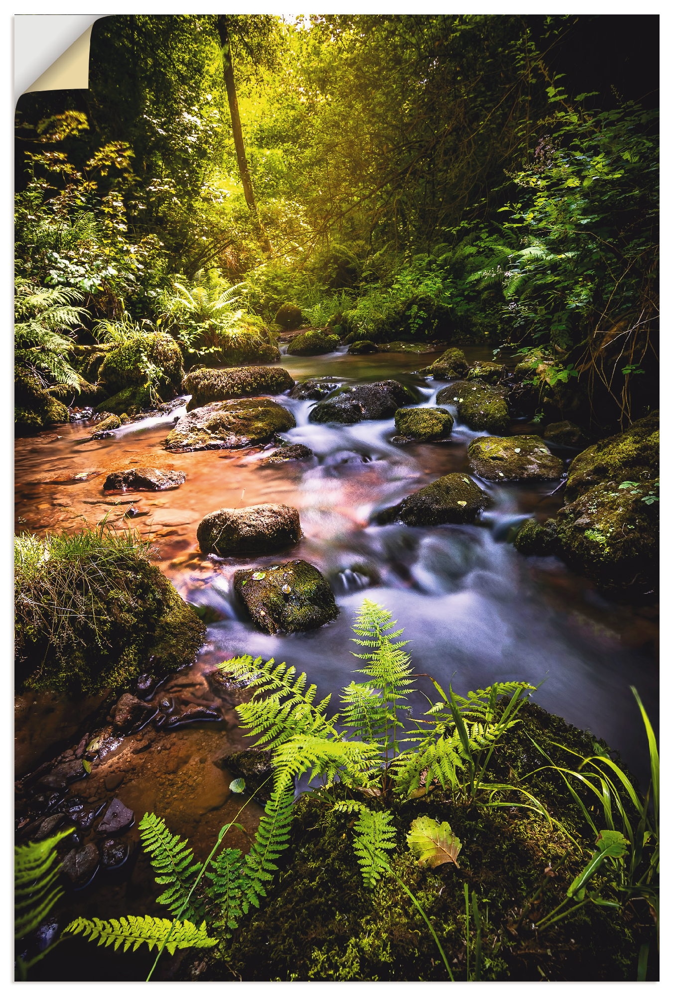 Artland Wandbild "Wildbach im Wald", Gewässer, (1 St.), als Alubild, Outdoo günstig online kaufen