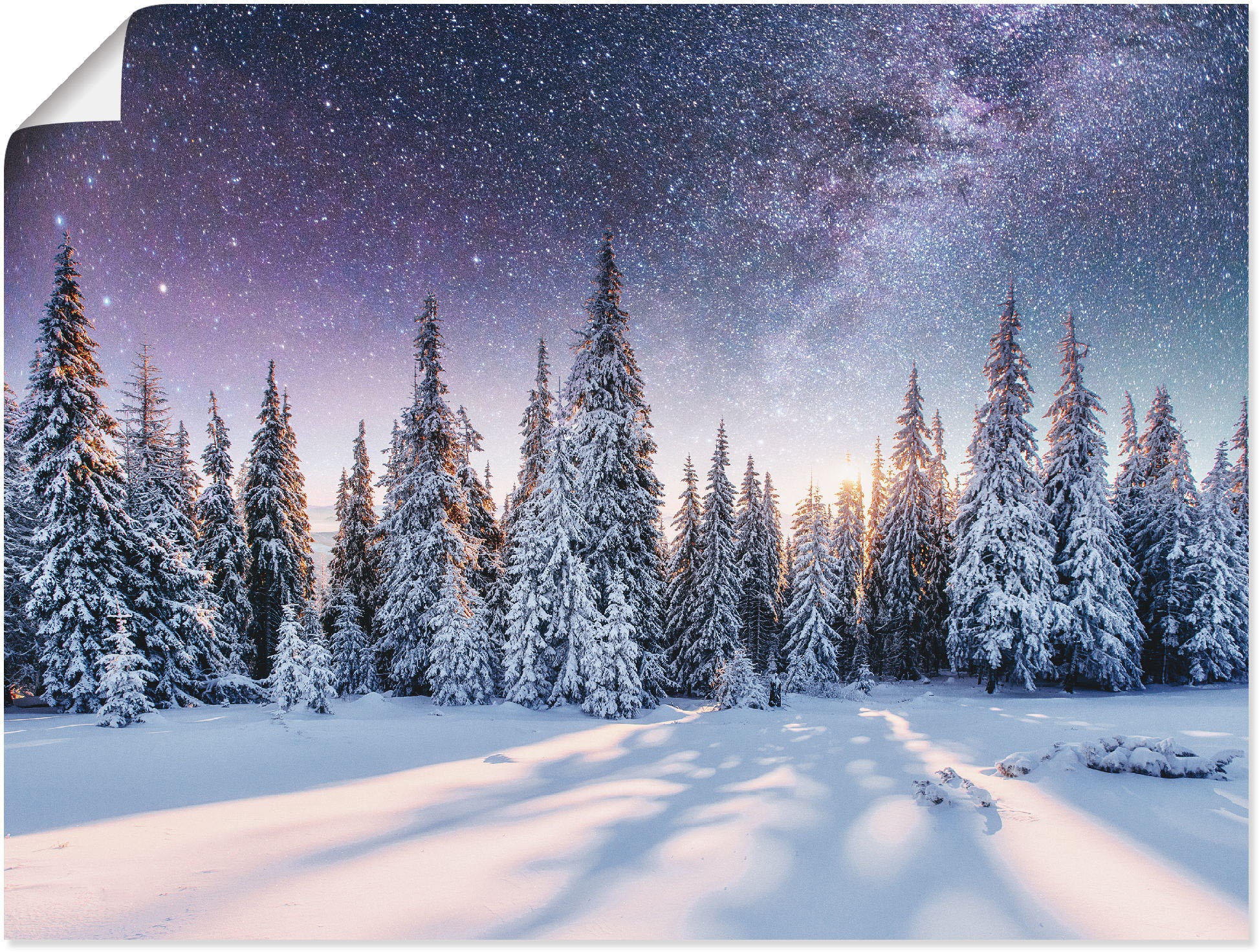 Artland Wandbild "Tannenwald im Schnee vorm Sternenhimmel", Berge & Alpenbi günstig online kaufen