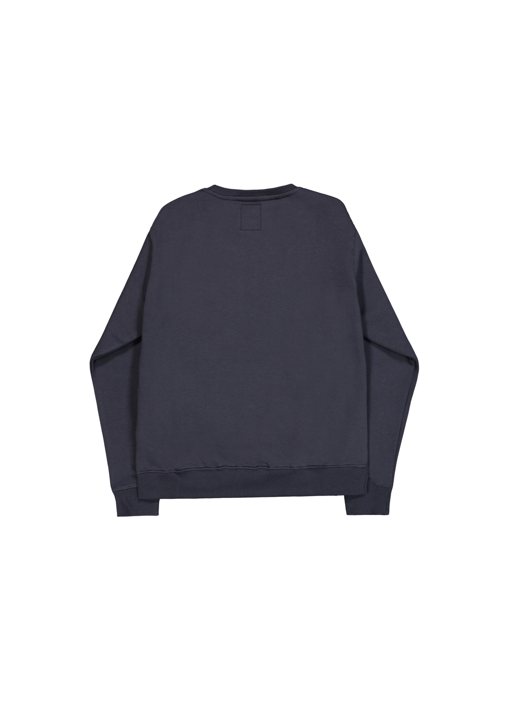 Alpha Industries Sweater »Basic Sweatshirt BL«