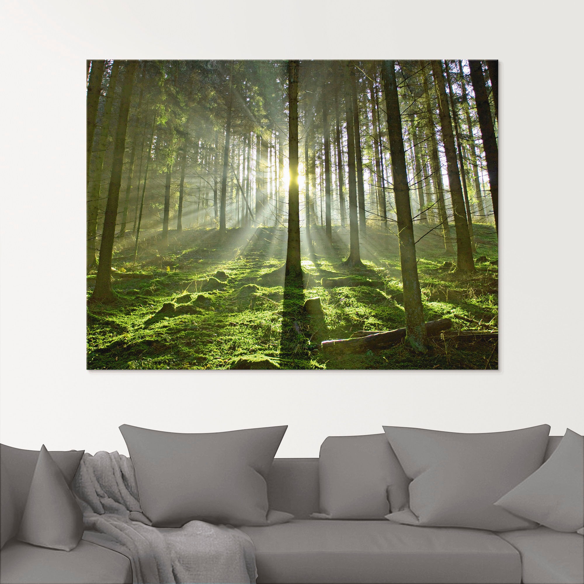 Artland Glasbild "Wald im Gegenlicht" Wald 1 Stk. tlg. in verschiedenen Grö günstig online kaufen