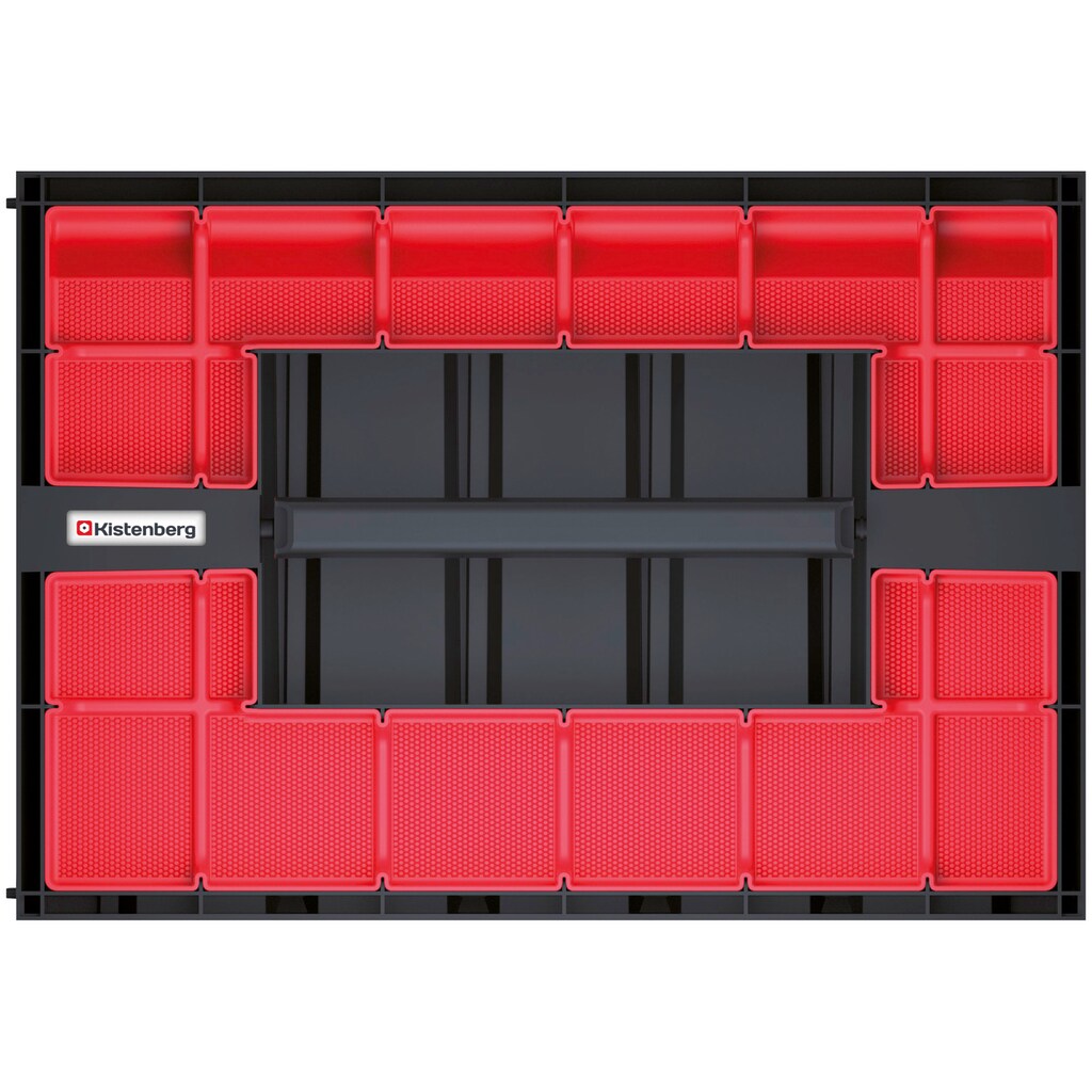 Prosperplast Organizer »TAGER CASE«