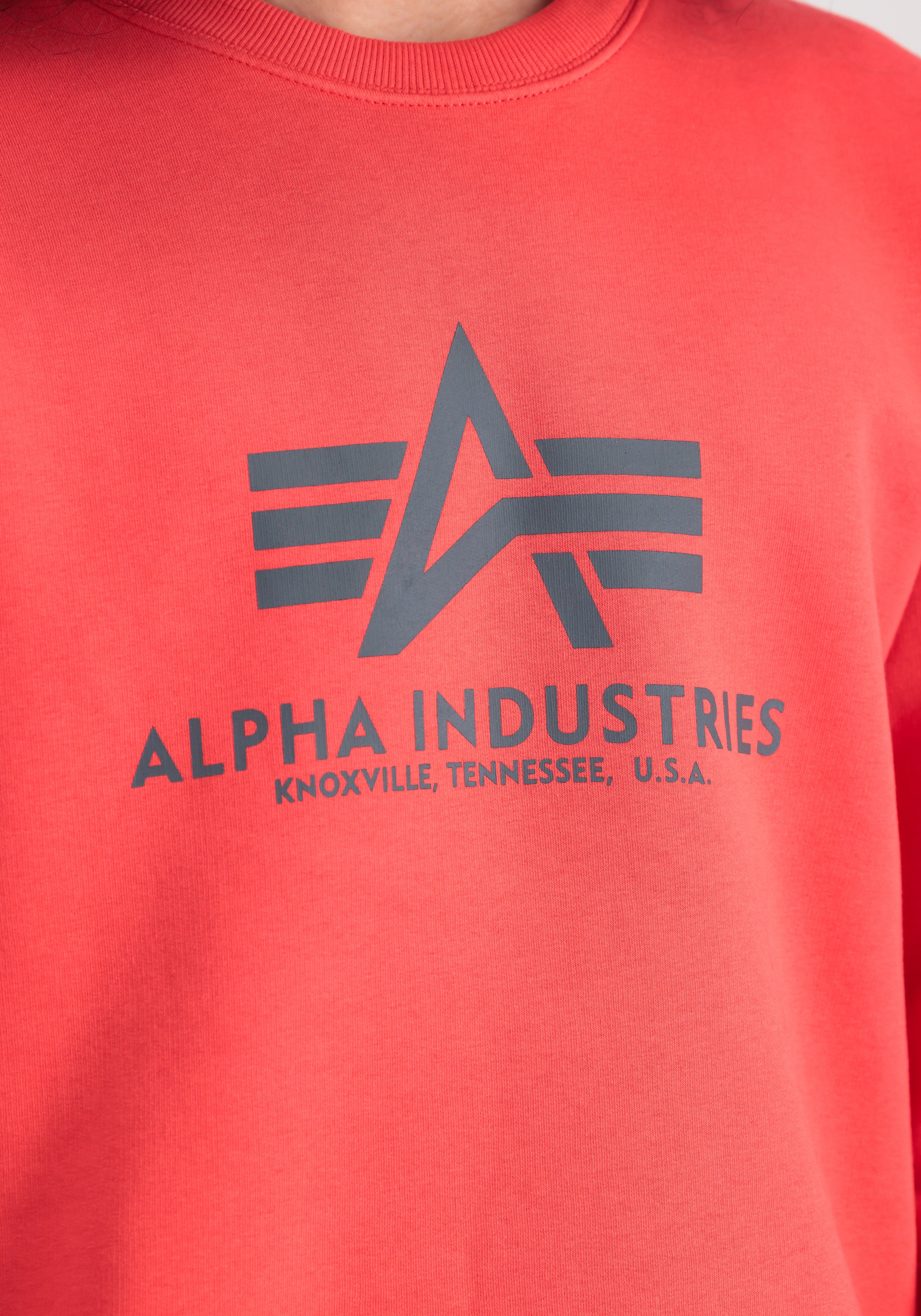 Alpha Industries Sweater »Alpha Industries Men - Sweatshirts Basic Sweater«