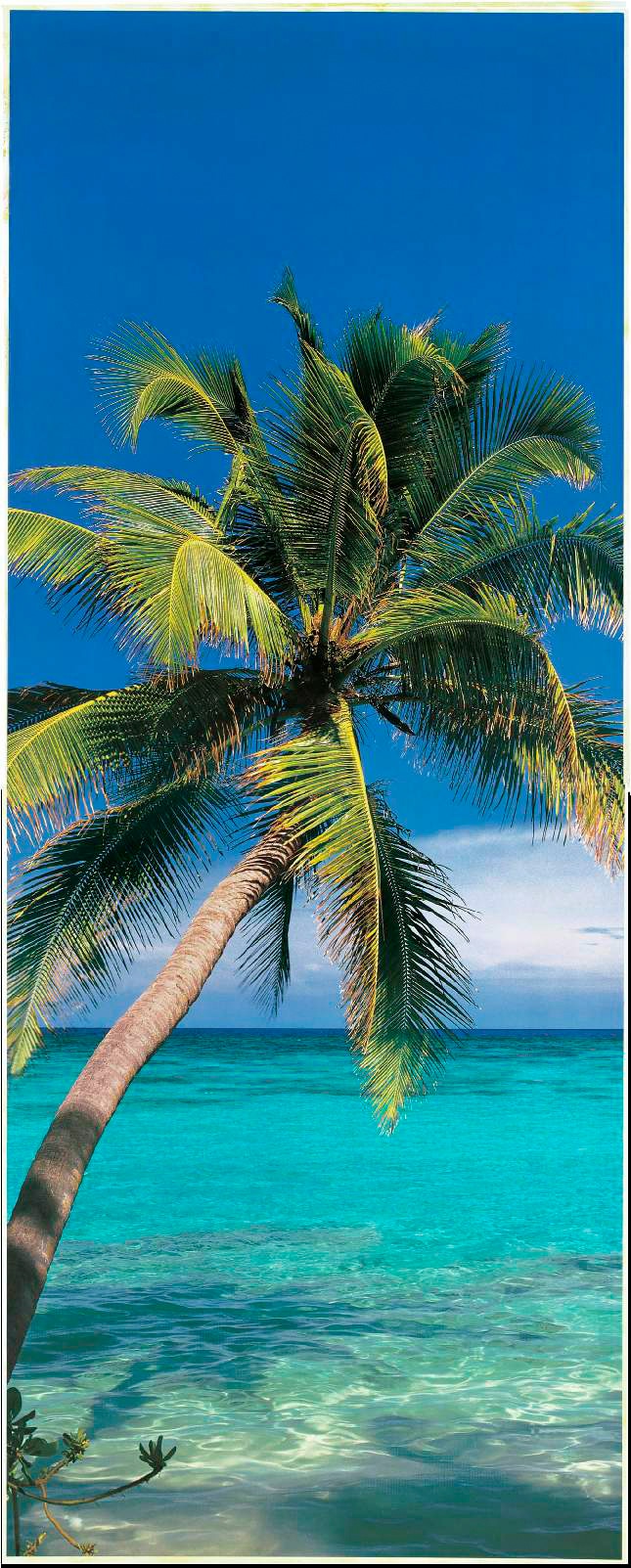 Papermoon Fototapete "Palm Tree - Türtapete" matt