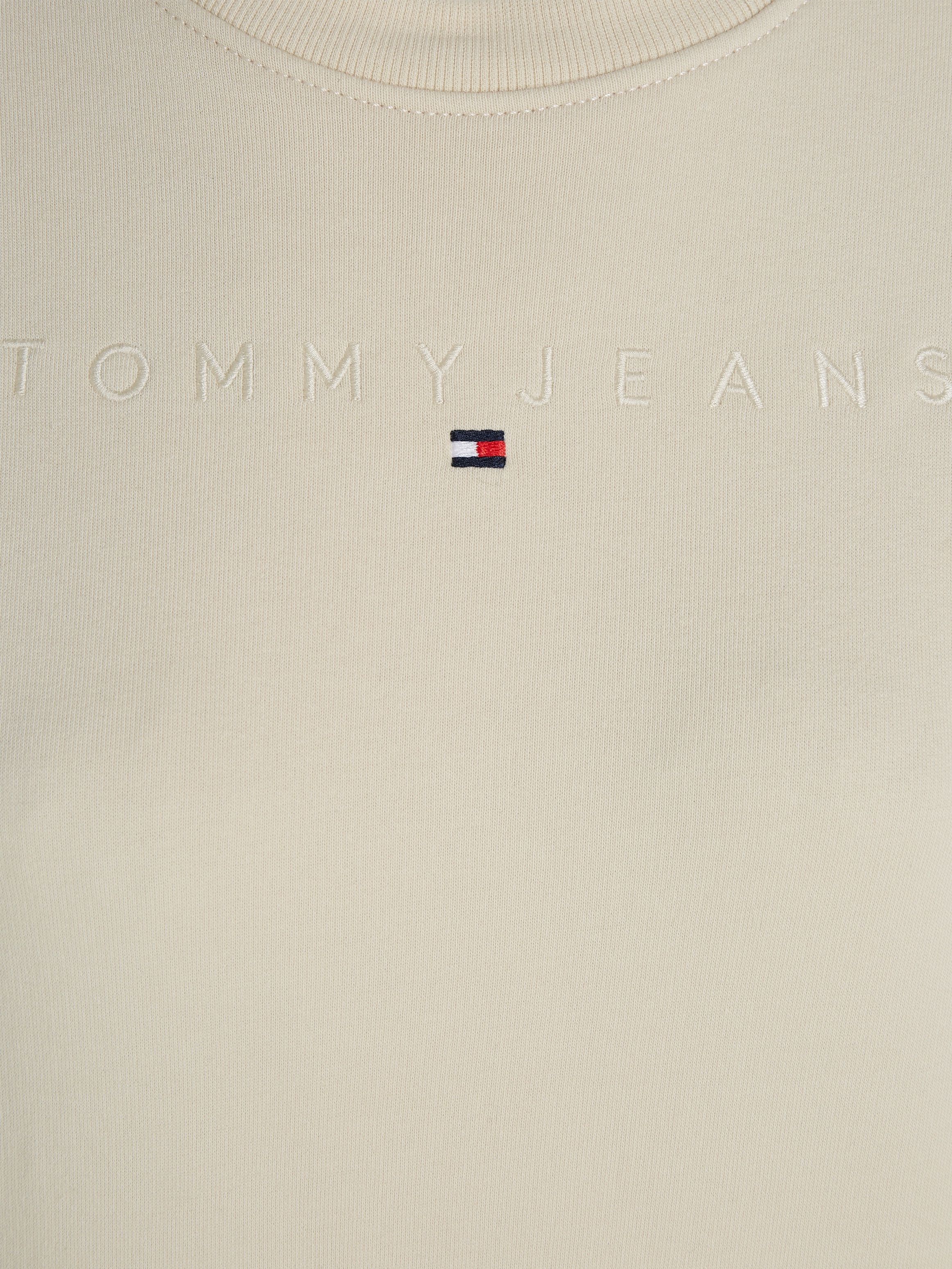 Tommy Jeans Curve Sweatshirt »TJW REG LINEAR CREW EXT«, in Großen Größen mit Logoschriftzug