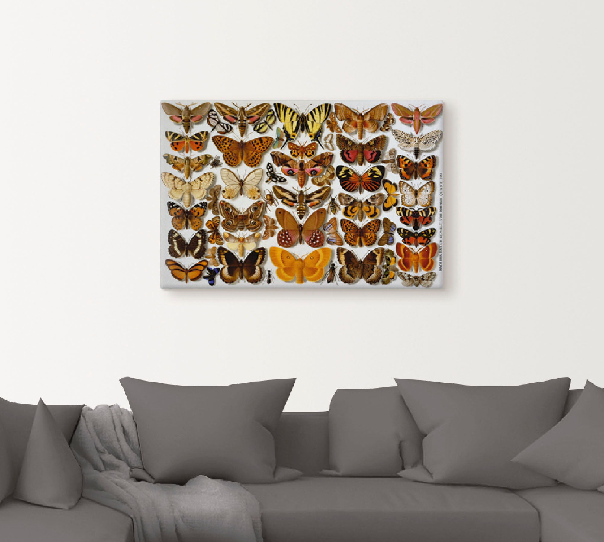 Artland Kunstdruck »Schmetterlinge. Porzellanmalerei. 1881«, Insekten, (1 St.), als Alubild, Leinwandbild, Wandaufkleber oder Poster in versch. Größen