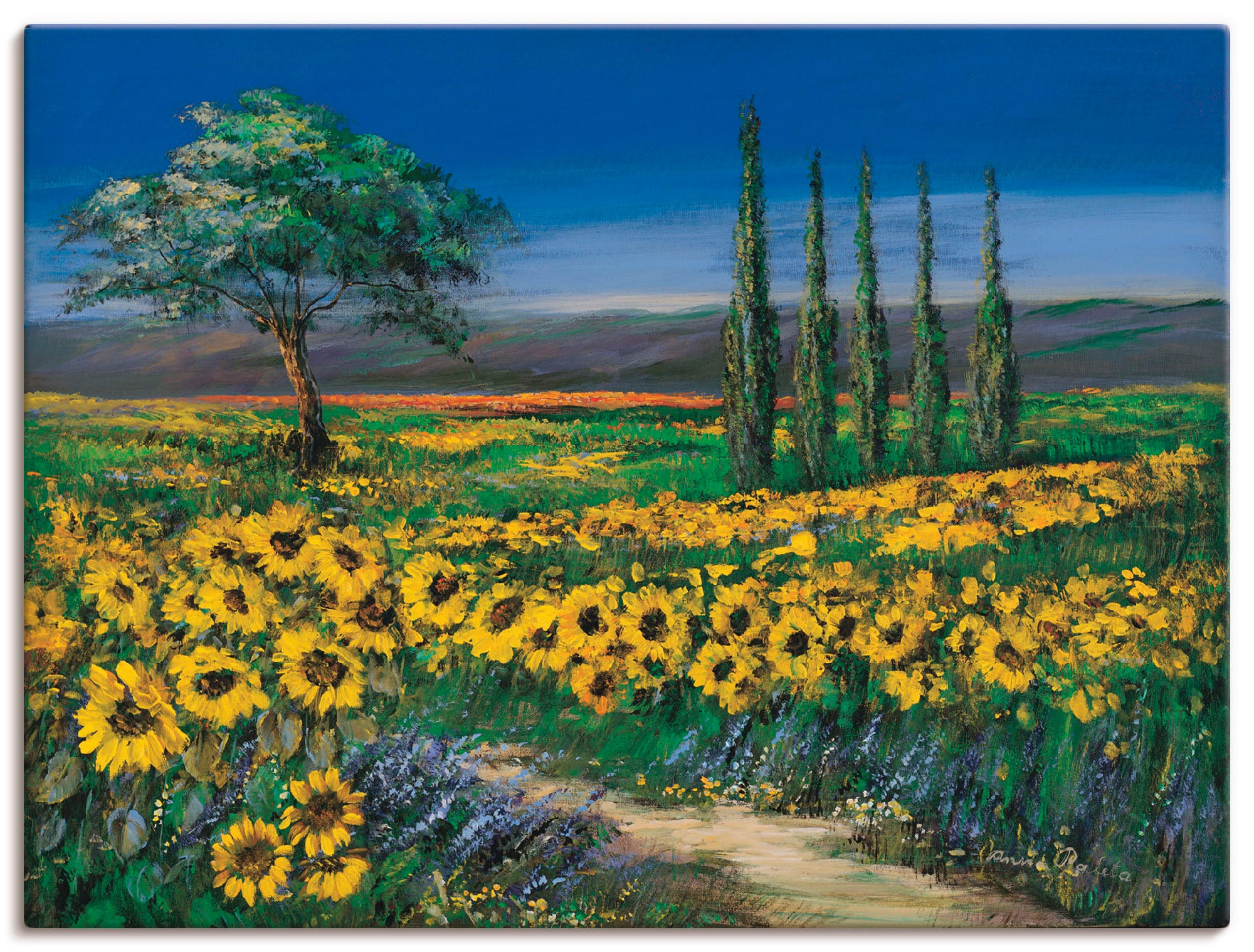 Artland Leinwandbild "Sonnenblumenfeld", Blumen, (1 St.), auf Keilrahmen gespannt
