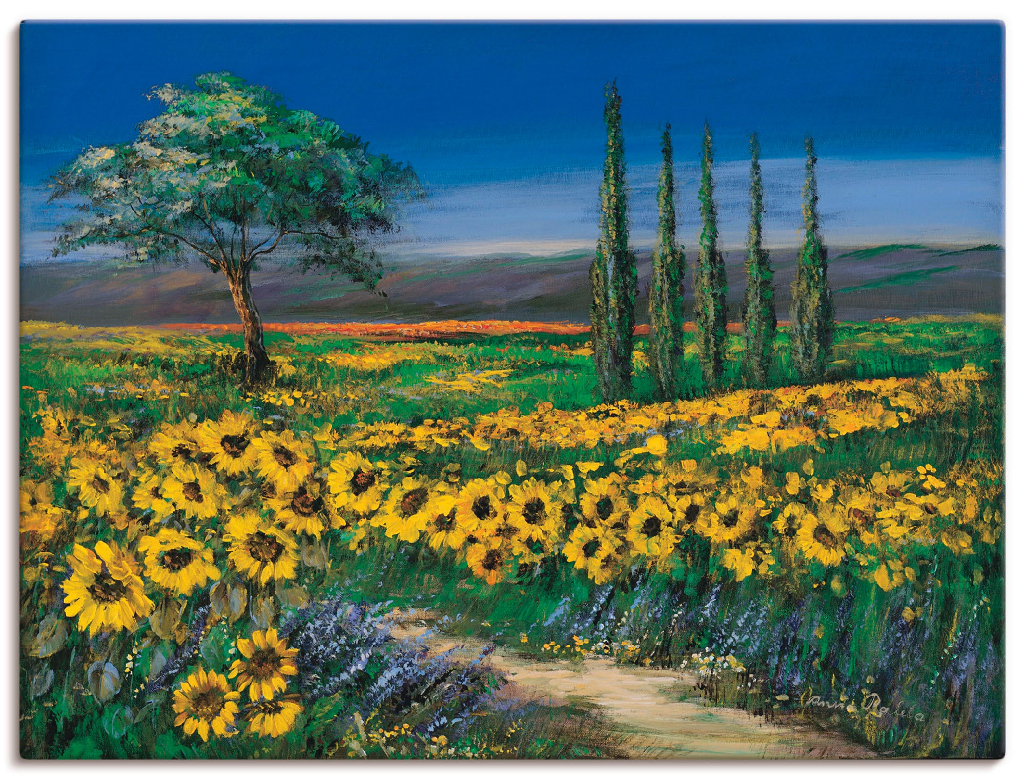 Artland Leinwandbild "Sonnenblumenfeld" Blumen 1 Stk. tlg. auf Holzrahmen gespannt