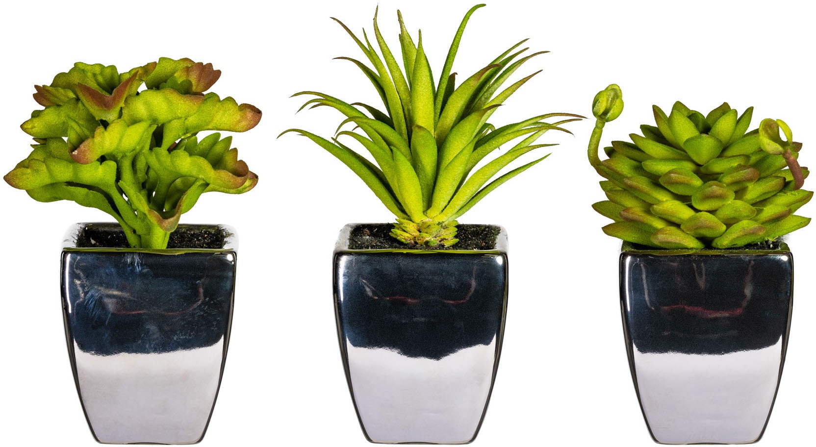 OTTO home Kunstpflanze "Loreen" im Topf, 3er Set