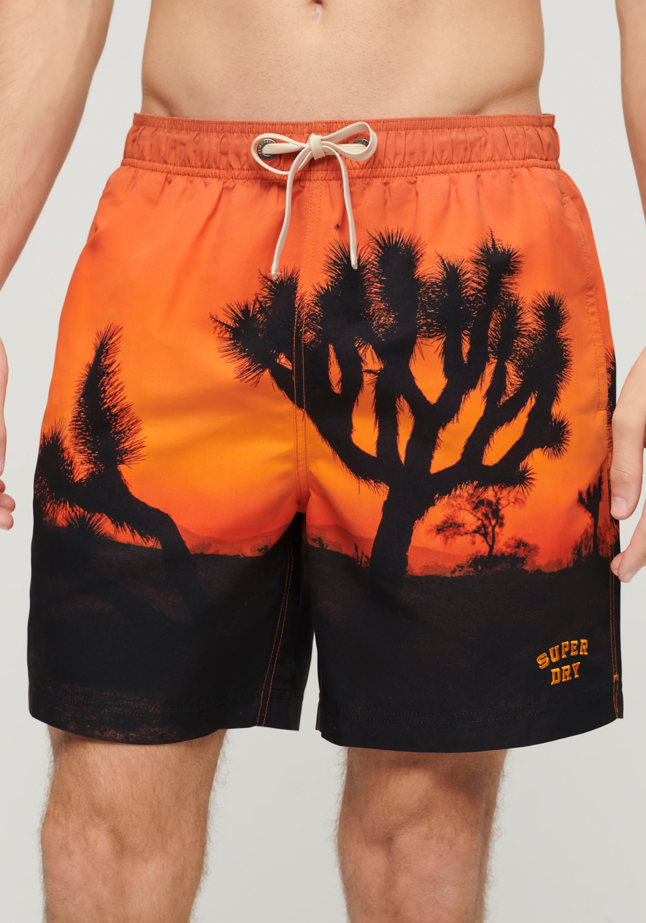 Superdry Badeshorts "SD-PHOTOGRAPHIC 17" SWIM SHORT" günstig online kaufen