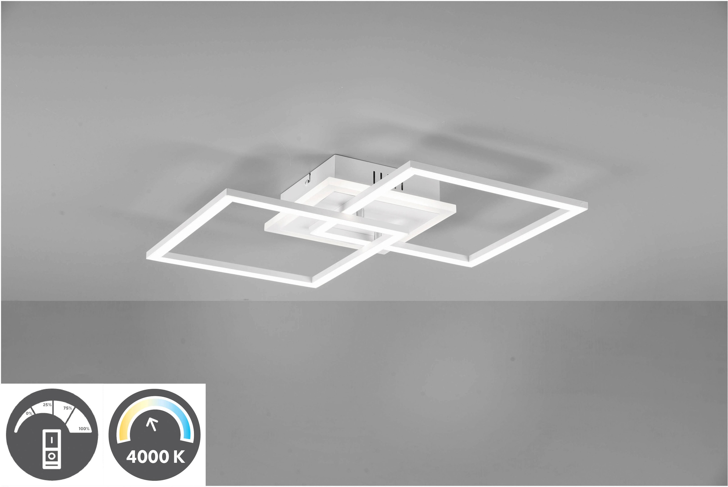 TRIO Leuchten LED Deckenleuchte »Venida«, 1 flammig-flammig, neutralweiß  4000K, dimmbar, Memoryfunktion, 3000 Lumen 25W, 35x57 cm | BAUR