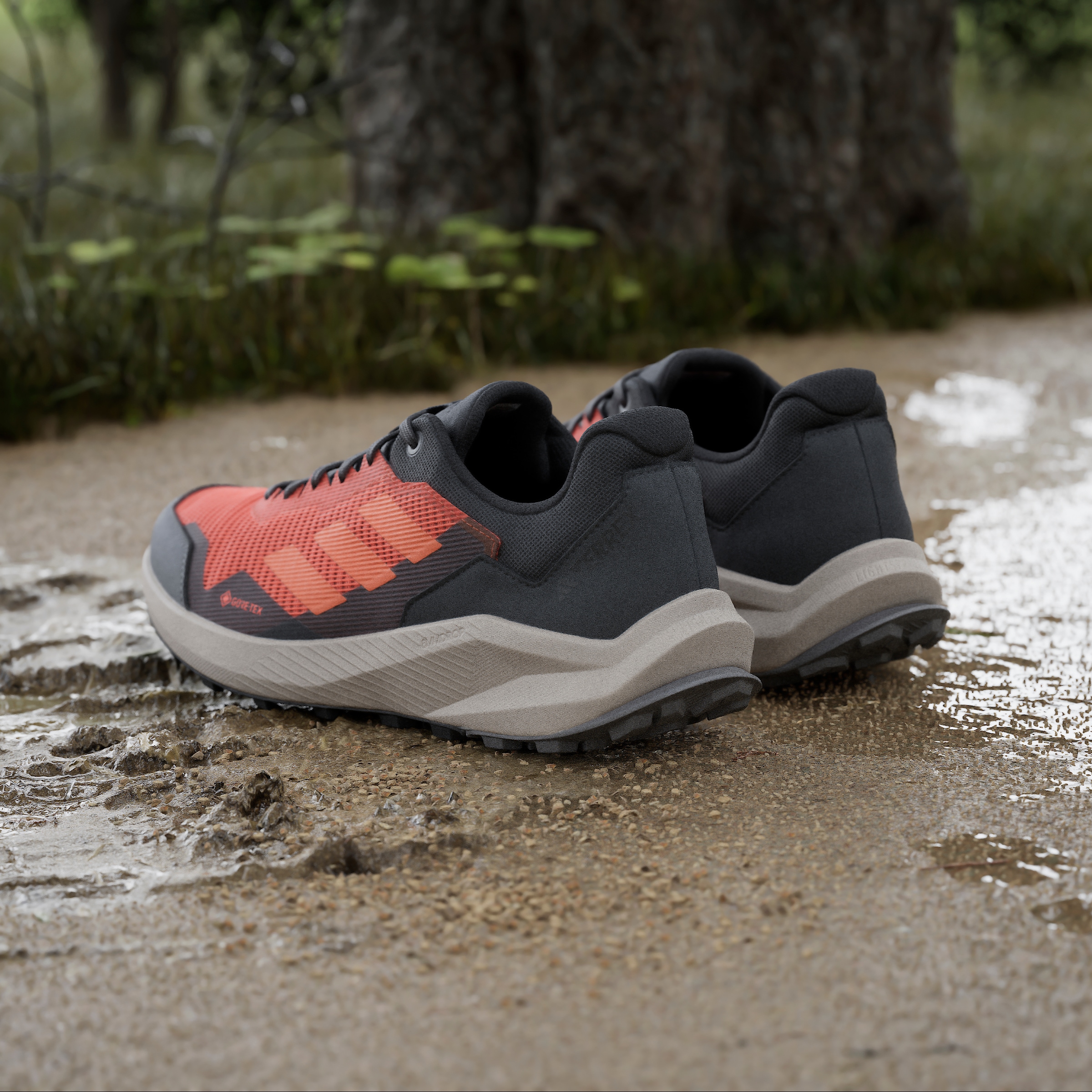 adidas TERREX Trailrunningschuh »TRAIL RIDER GORE-TEX TRAILRUNNING«, wasserdicht