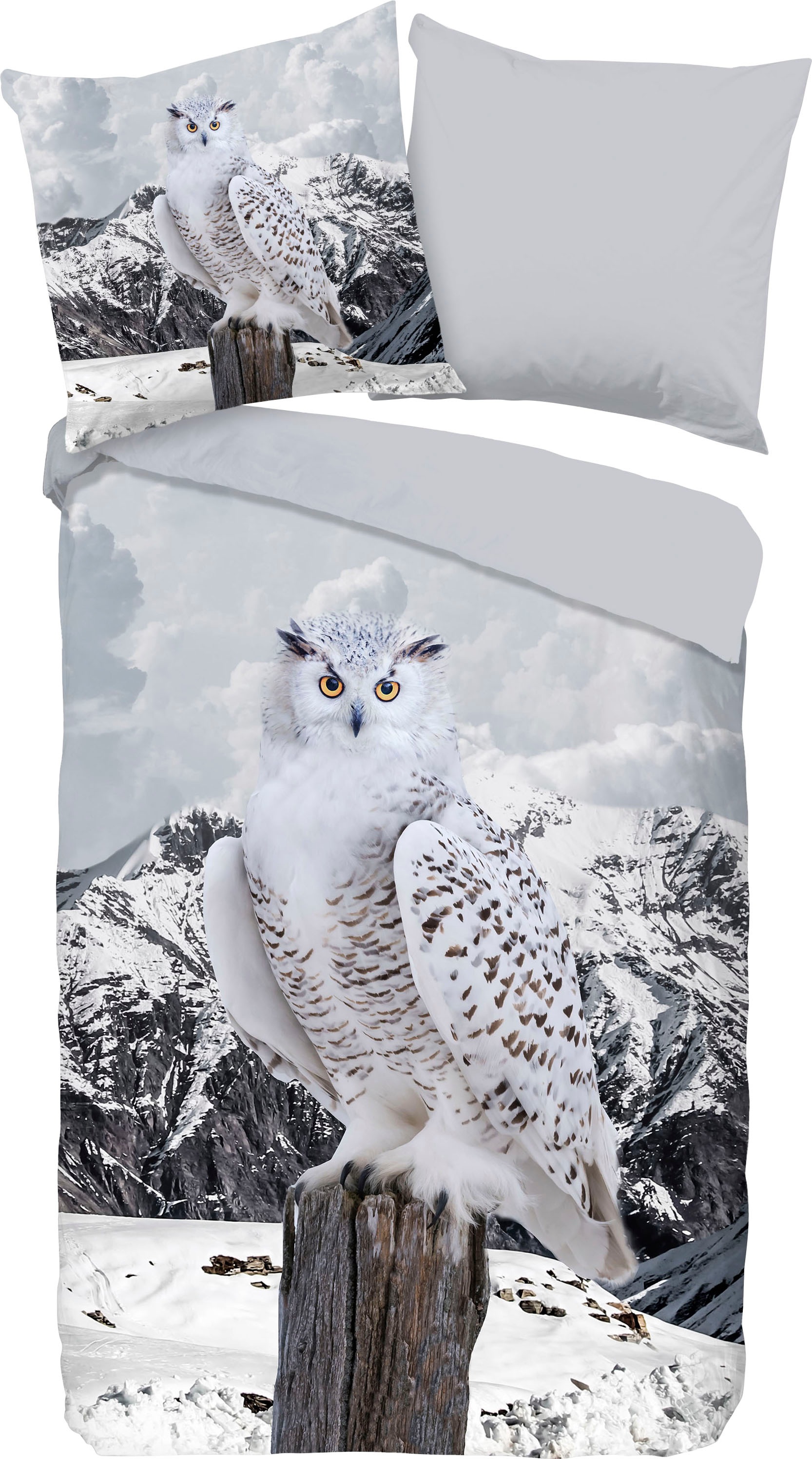 good morning Wendebettwäsche "Jacob" 2 Stk. tlg. 100% Baumwolle, 135x200, 2 günstig online kaufen