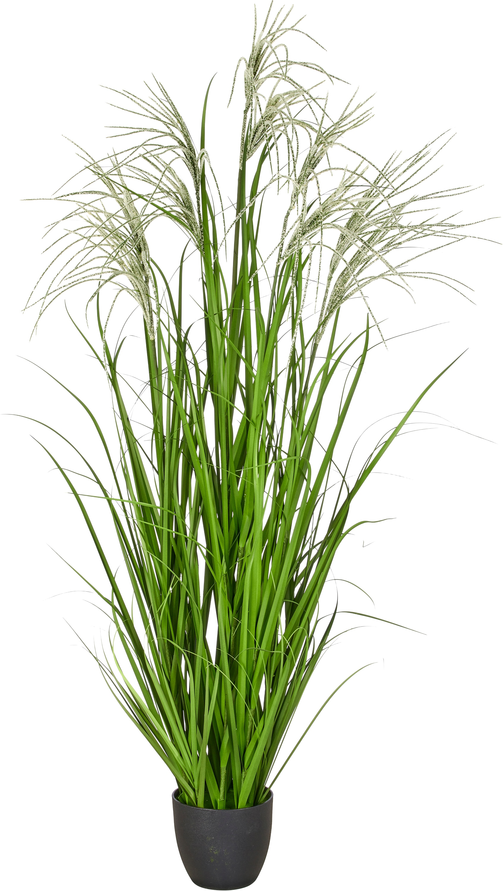 Creativ green Kunstgras "Grasbusch Miscanthus graziella" mit dekorativen Blüten