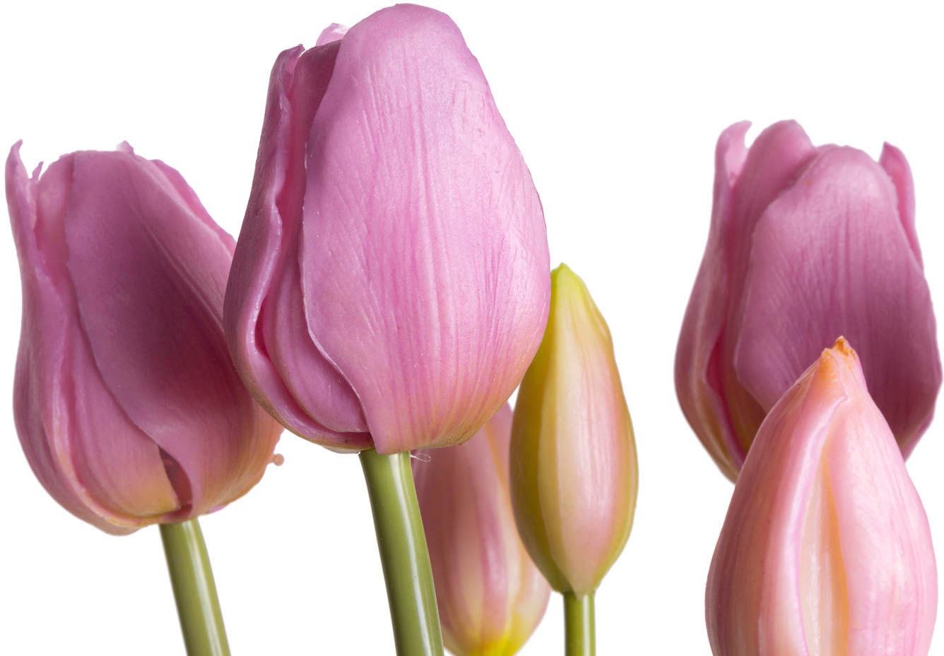 Kunstblume BOTANIC-HAUS "Tulpenbündel", lila (mauve), B:20cm H:47cm T:20cm Ø:20cm, Kunststoff, Kunstpflanzen 2