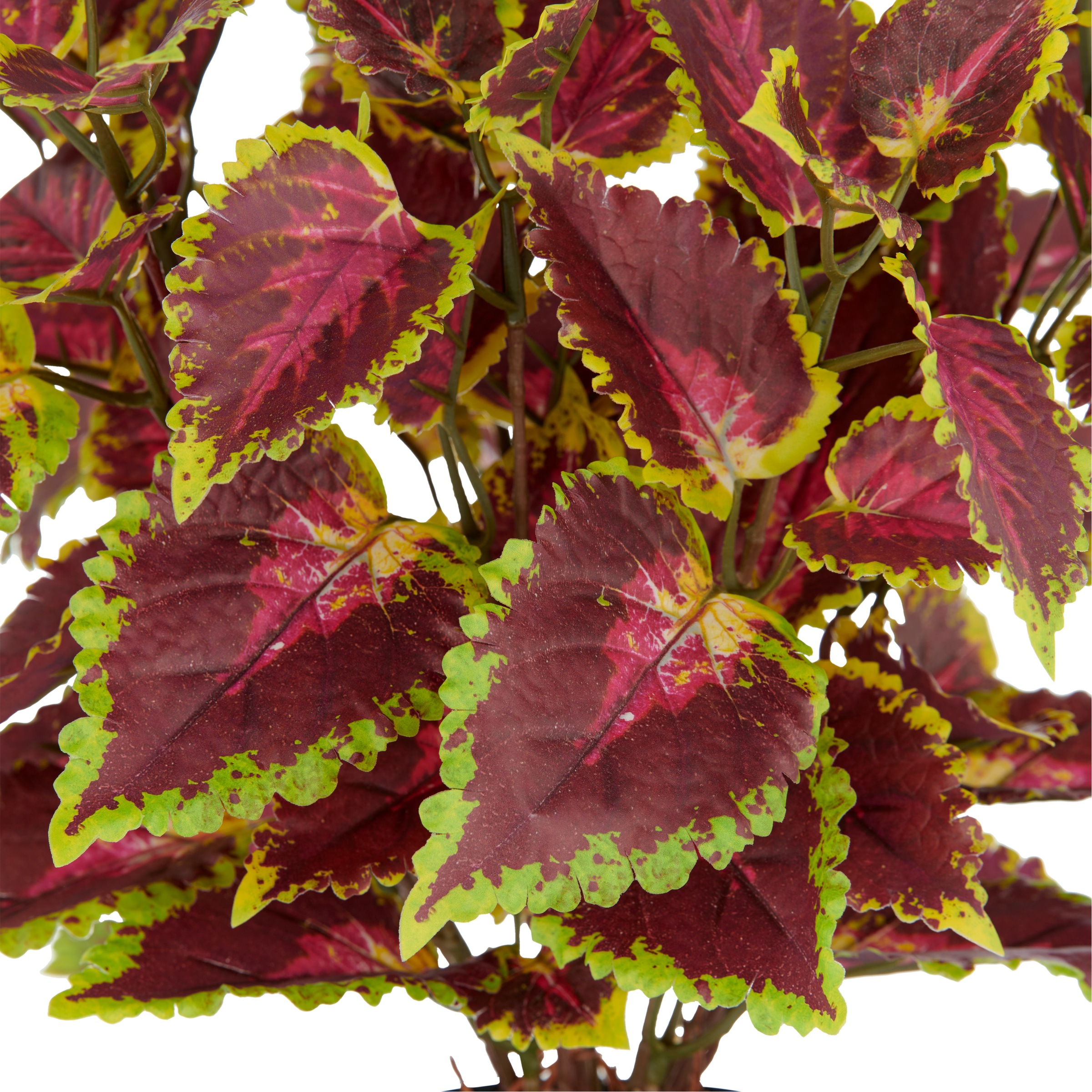 Creativ green Kunstpflanze »Buntnessel Coleus Kong red«, mit Luftwurzeln