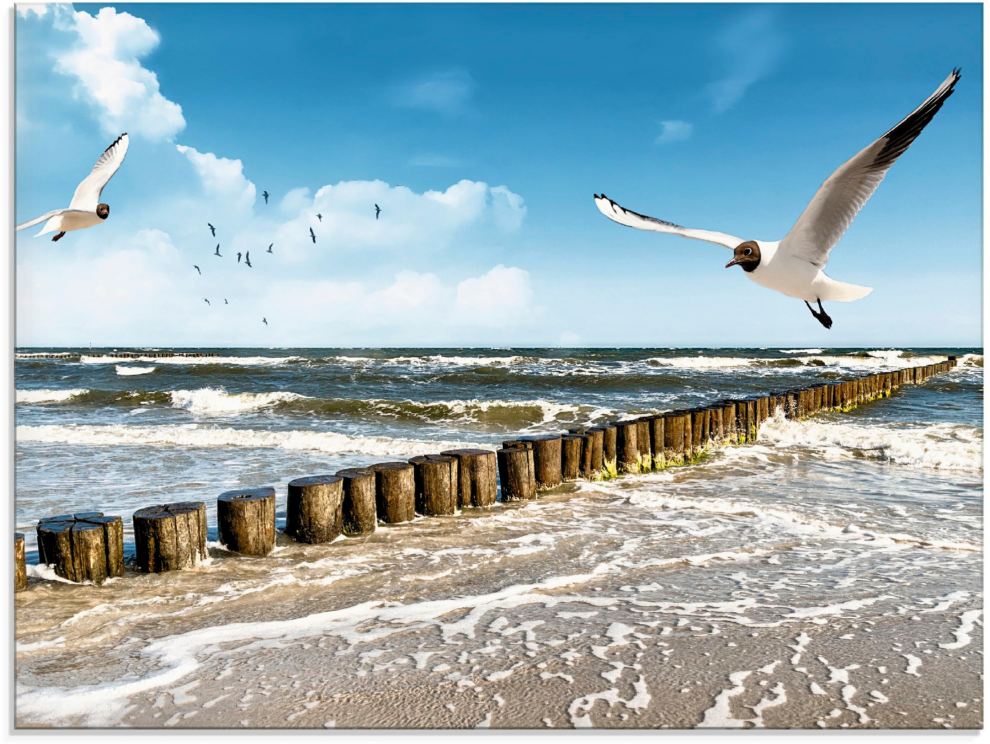 Artland Glasbild "Ostsee", Gewässer, (1 St.), in verschiedenen Größen