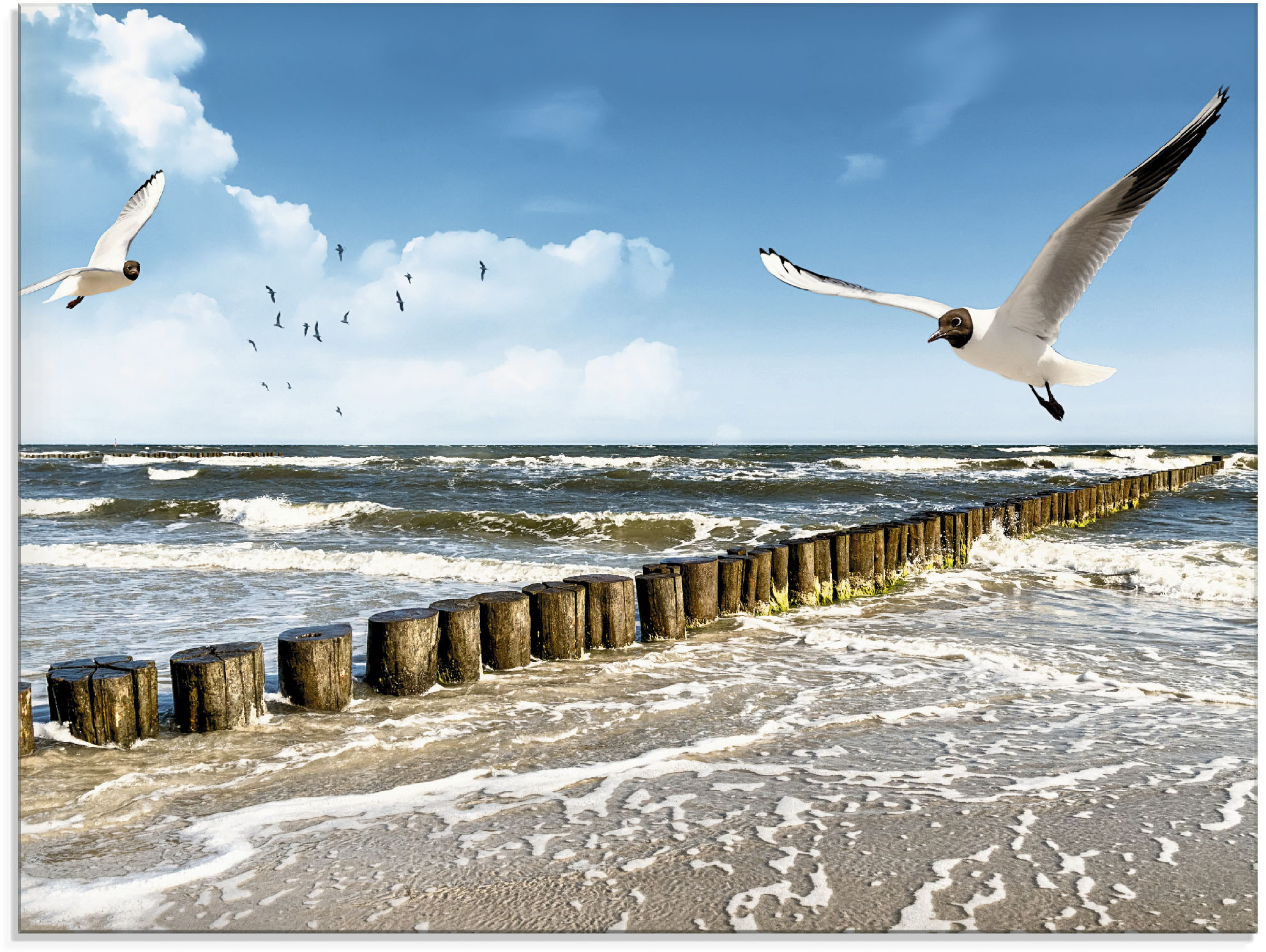 Artland Glasbild "Ostsee" Gewässer 1 Stk. tlg. in verschiedenen Größen