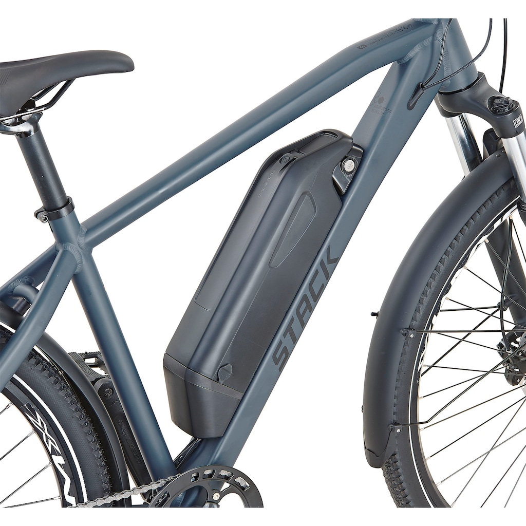 Prophete E-Bike »Stack 2.0«, 9 Gang, Shimano, Heckmotor 250 W